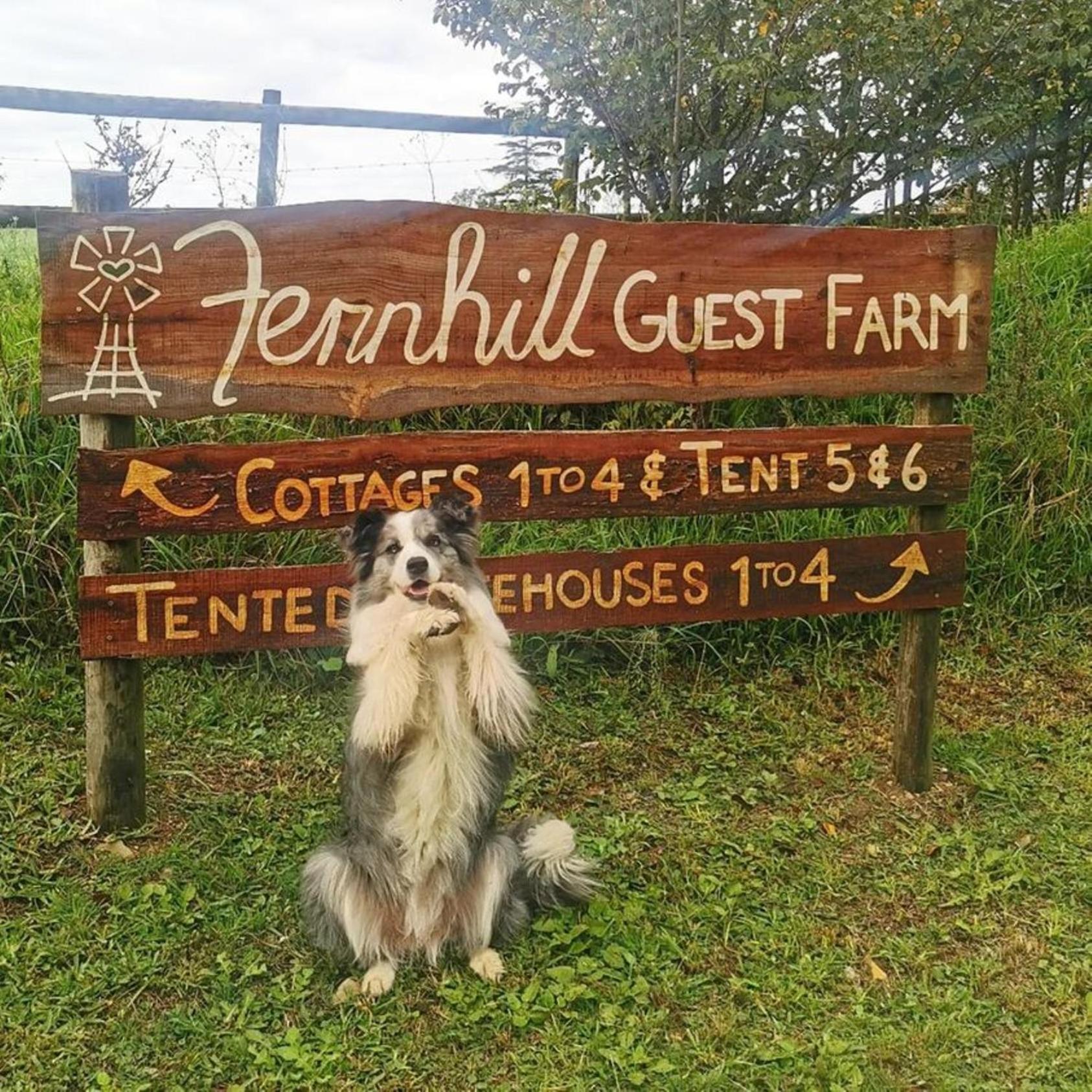 Fernhill Guest Farm view 4