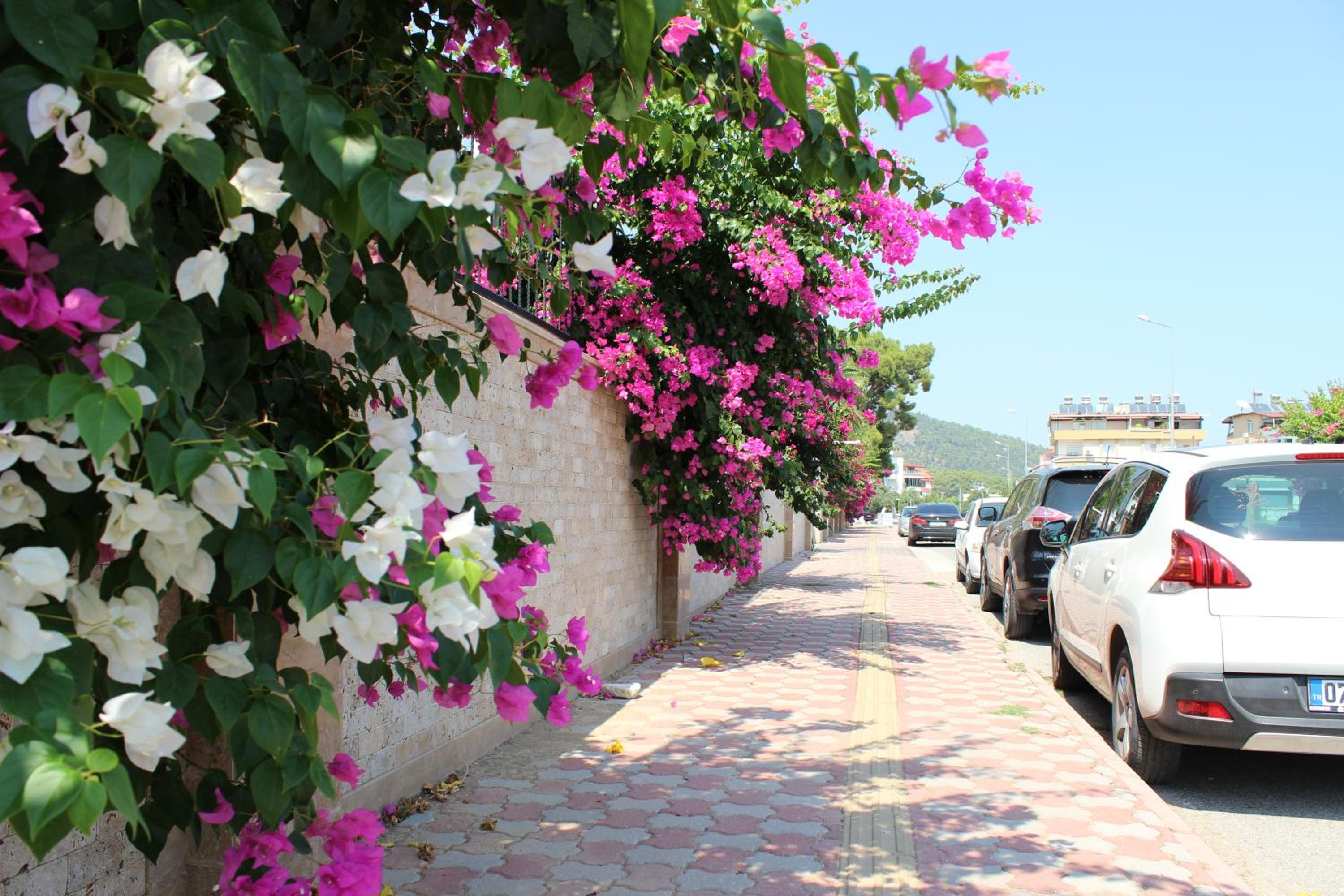 Tebriz Apart - Image 76