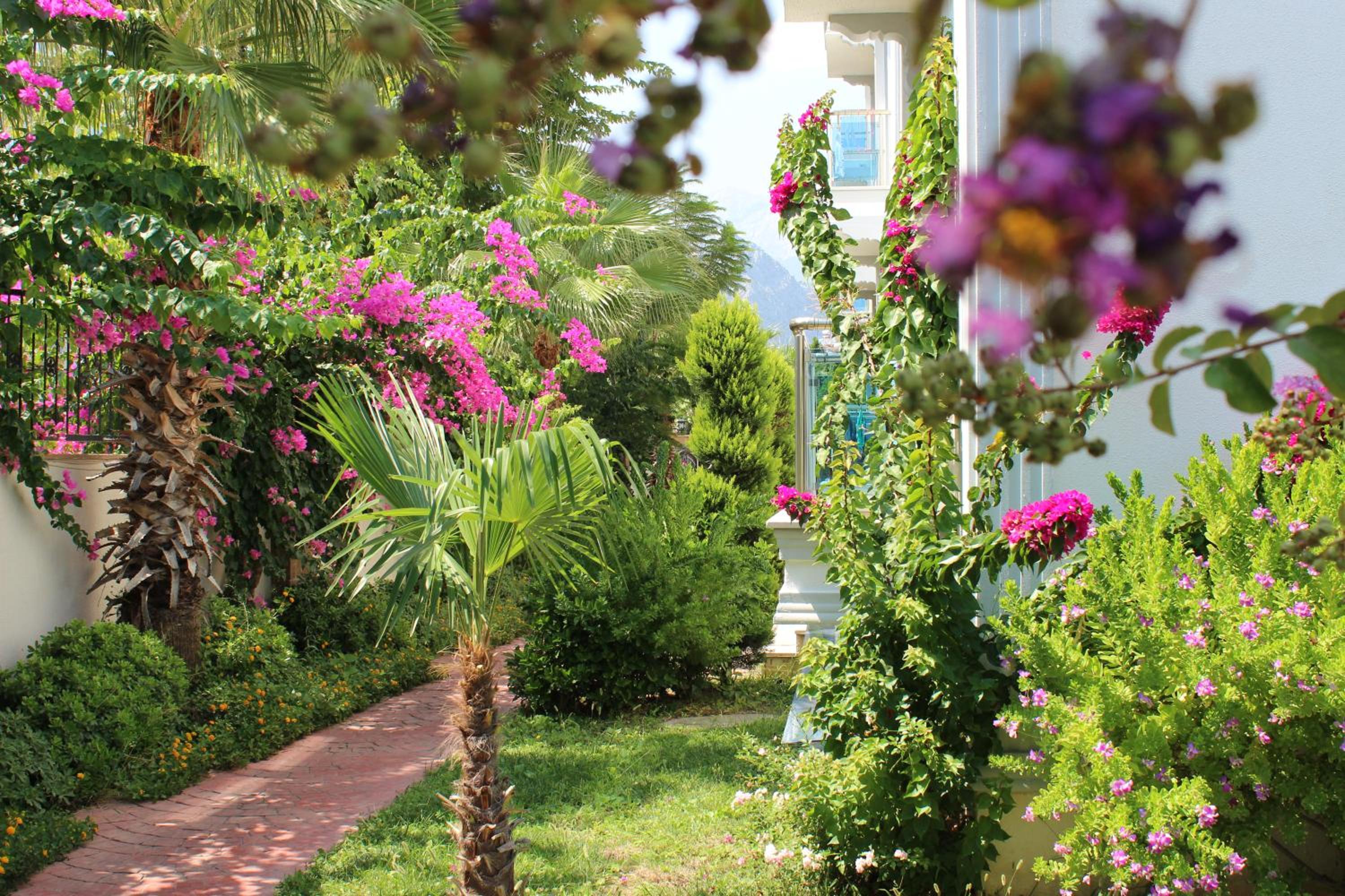 Tebriz Apart - Image 50