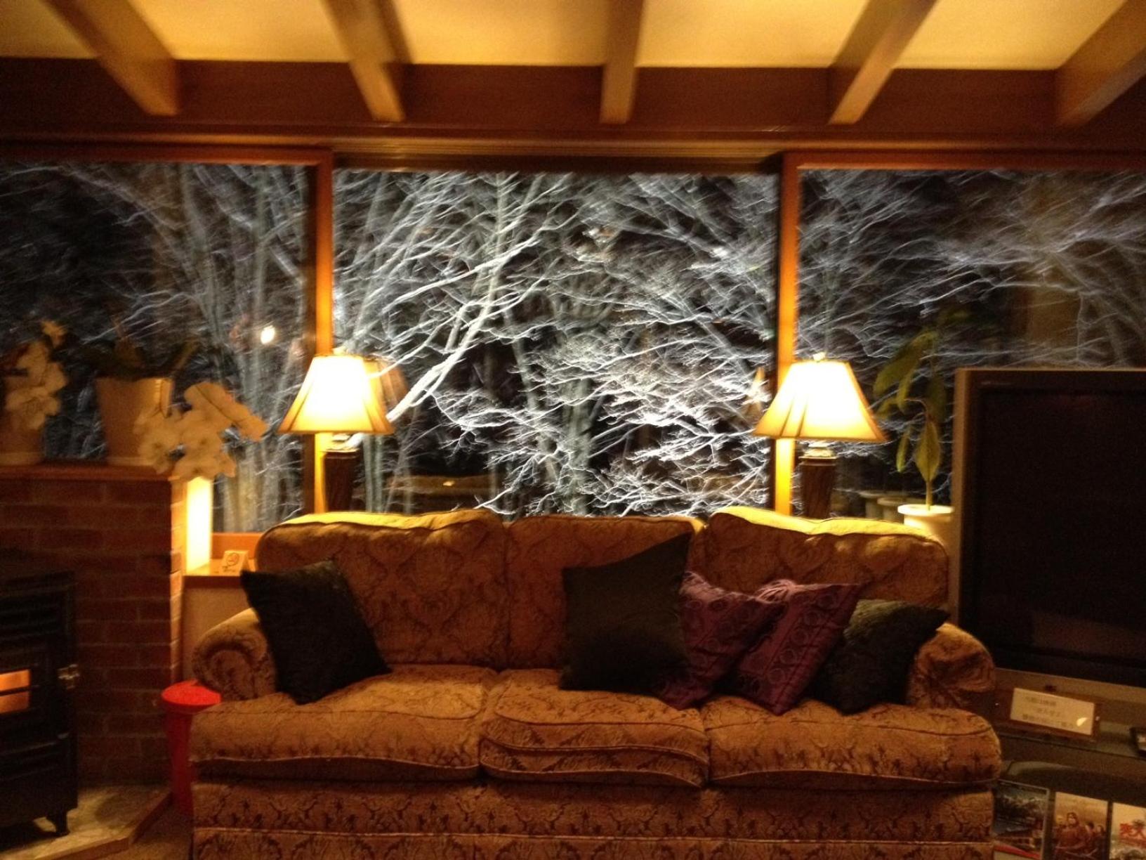 Photo 43