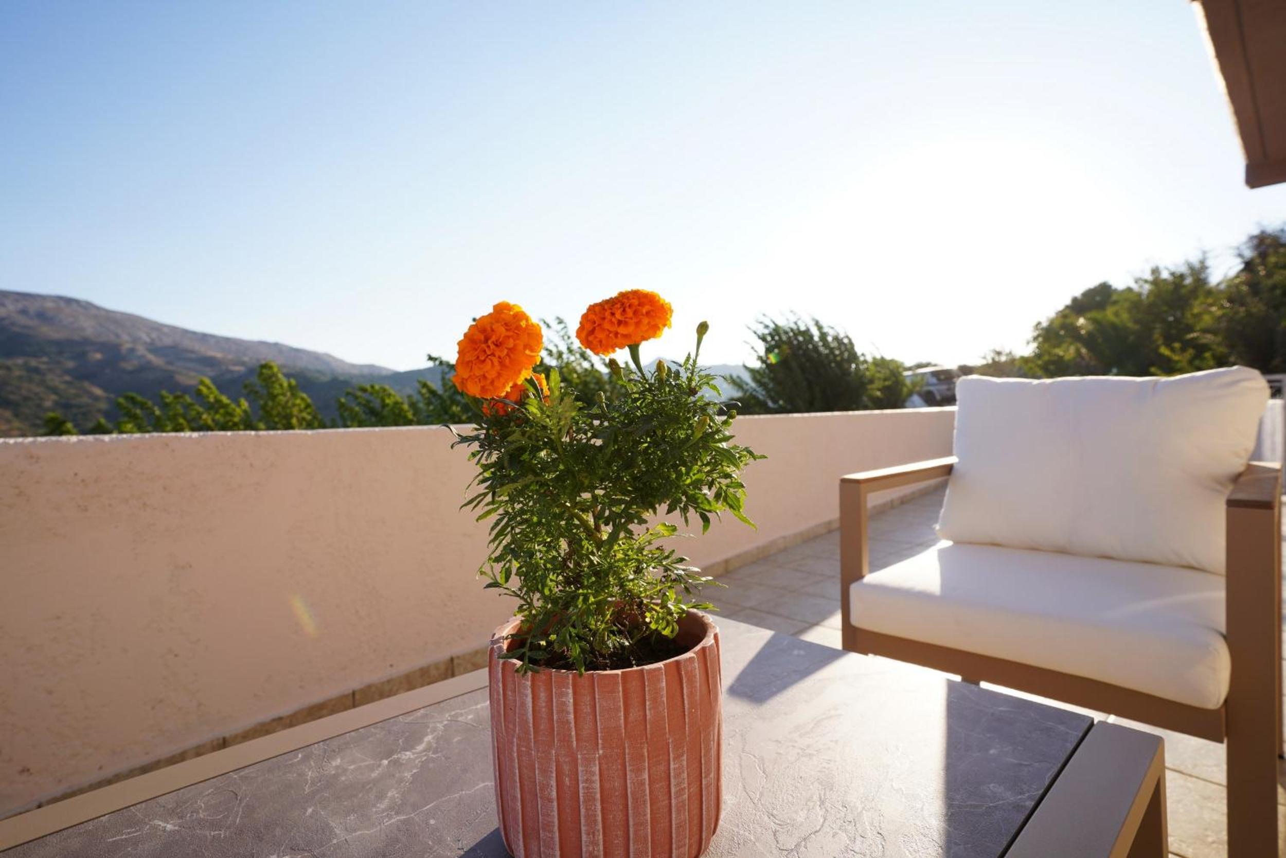 Villa Tzekos
