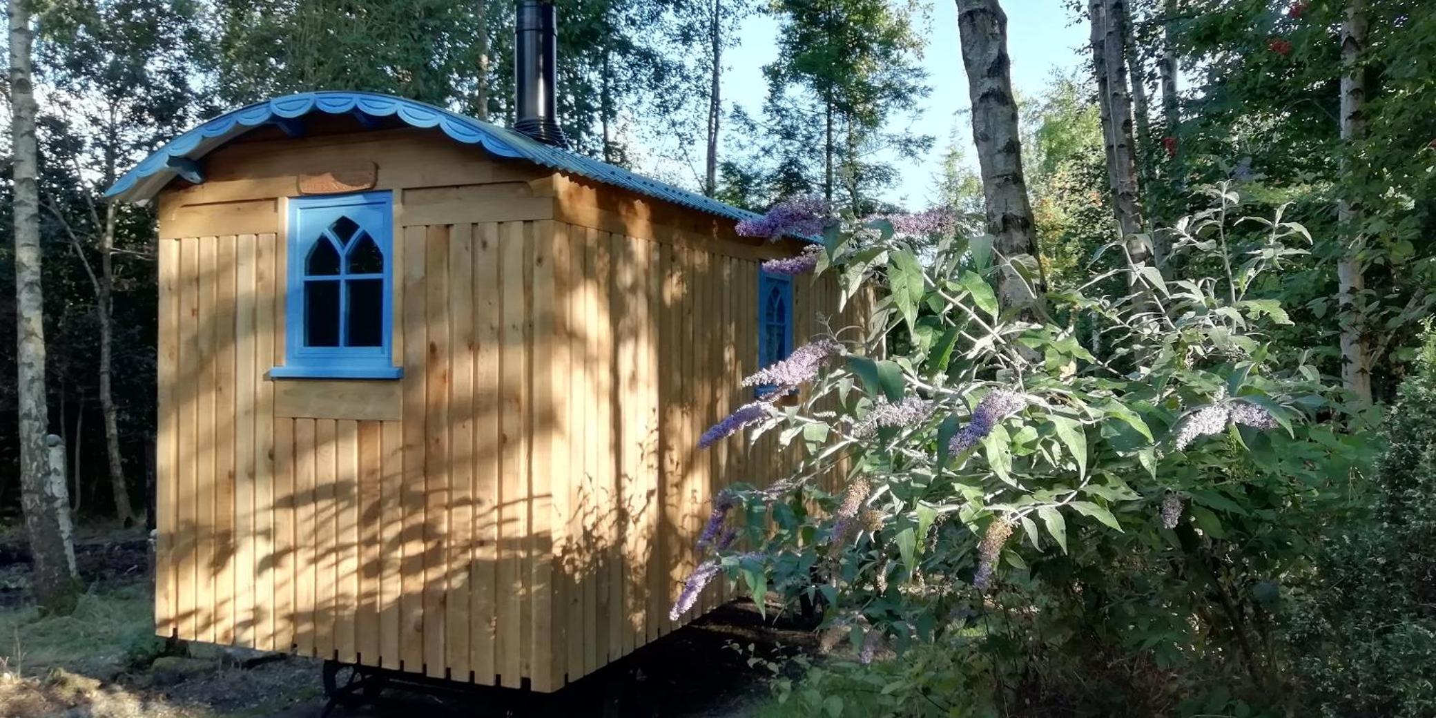 Sapphire forest garden shepherd’s hut view 3