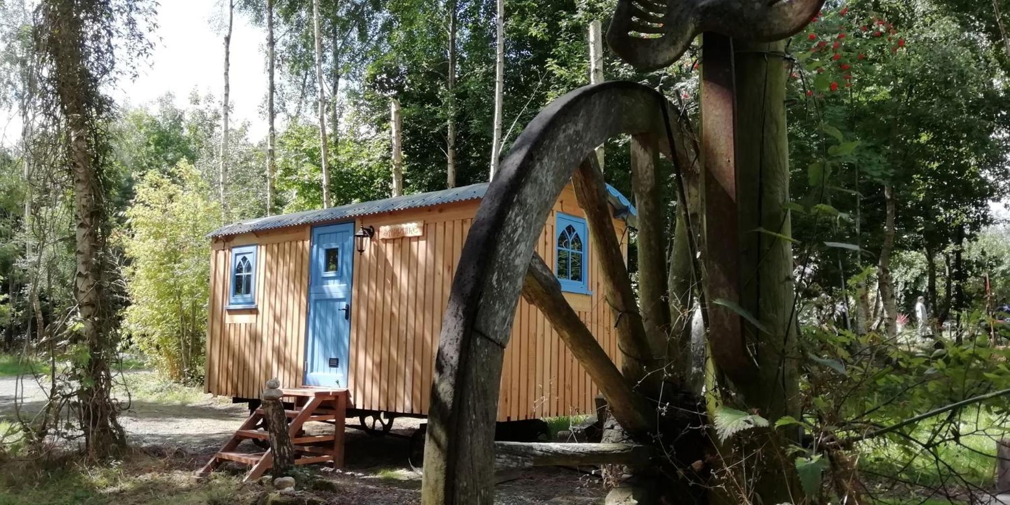 Sapphire forest garden shepherd’s hut view 5