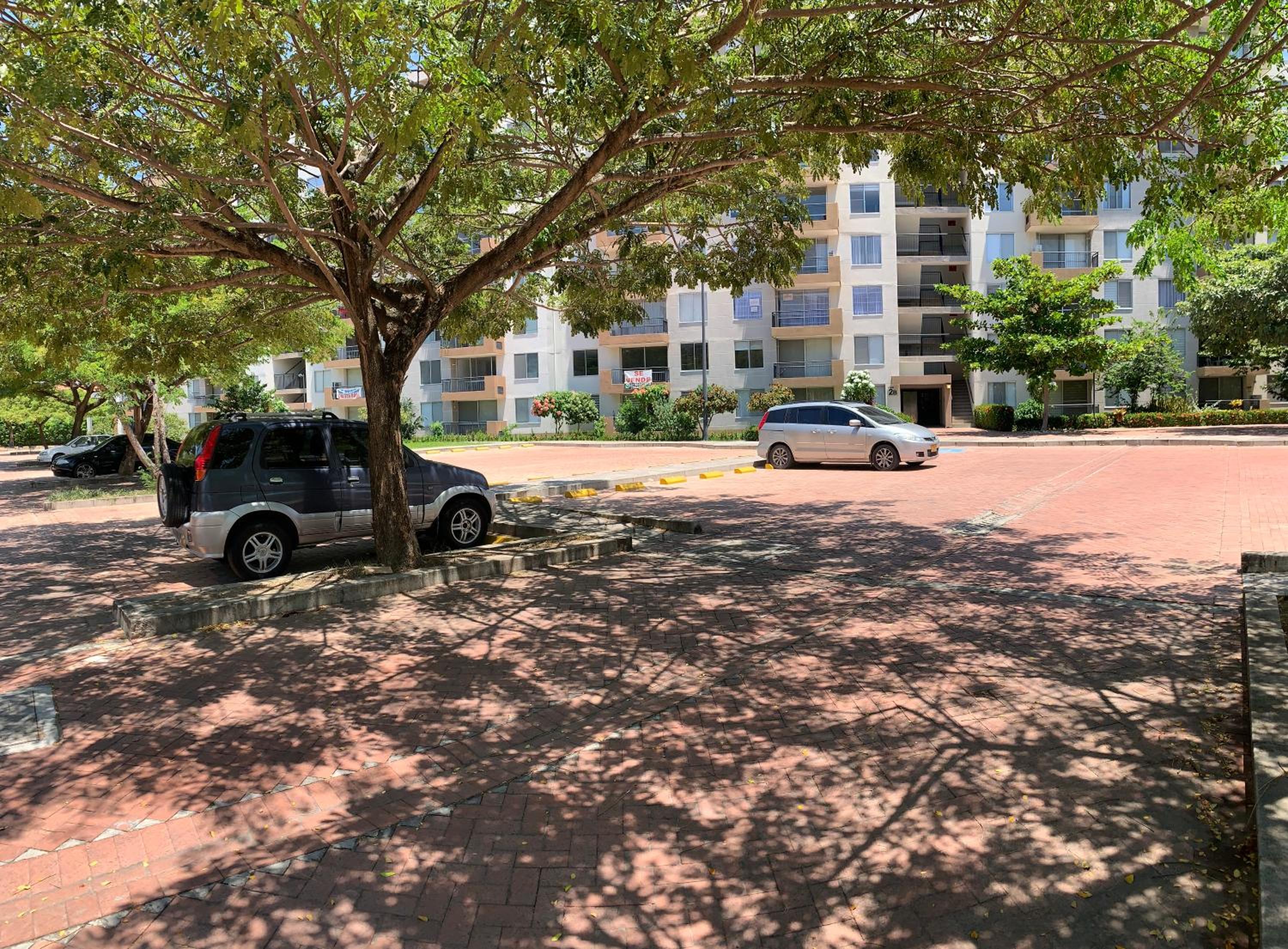 Photo 18