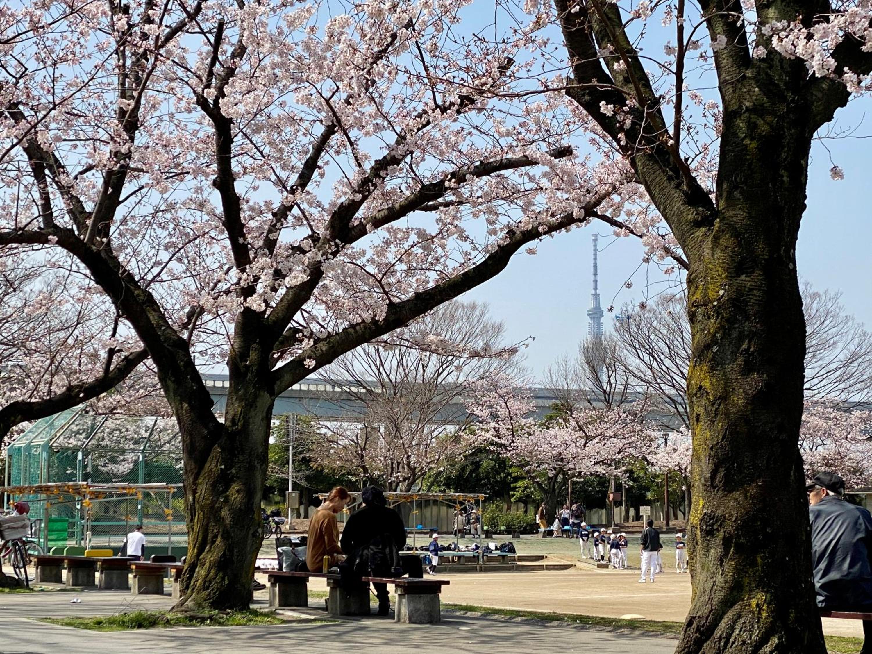 ワンハウス新小岩