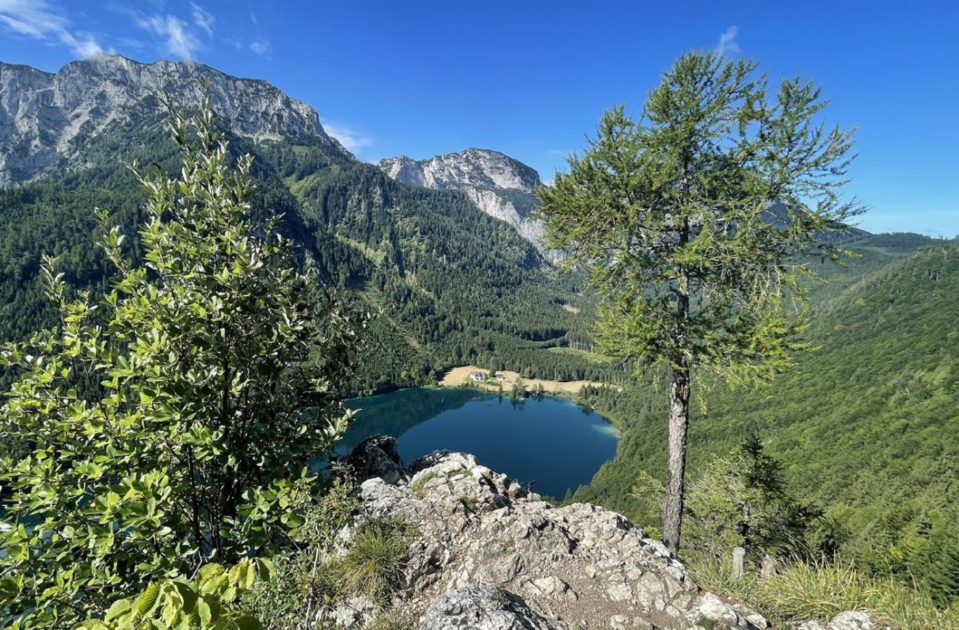 Ferienwohnung Kogelblick