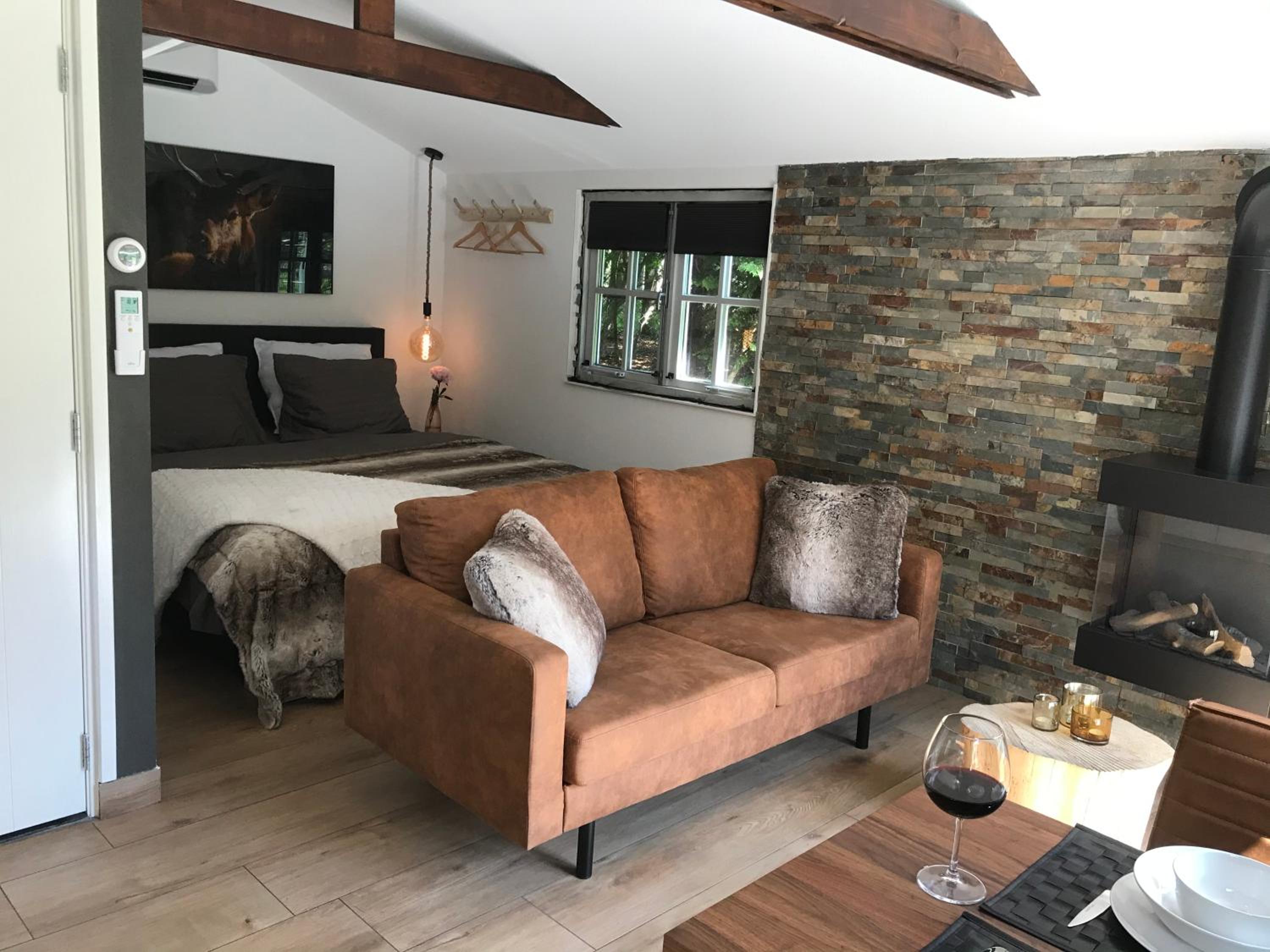 Luxe Natuurhuisje met jacuzzi en haard in Drenthe, ECHTEN view 3