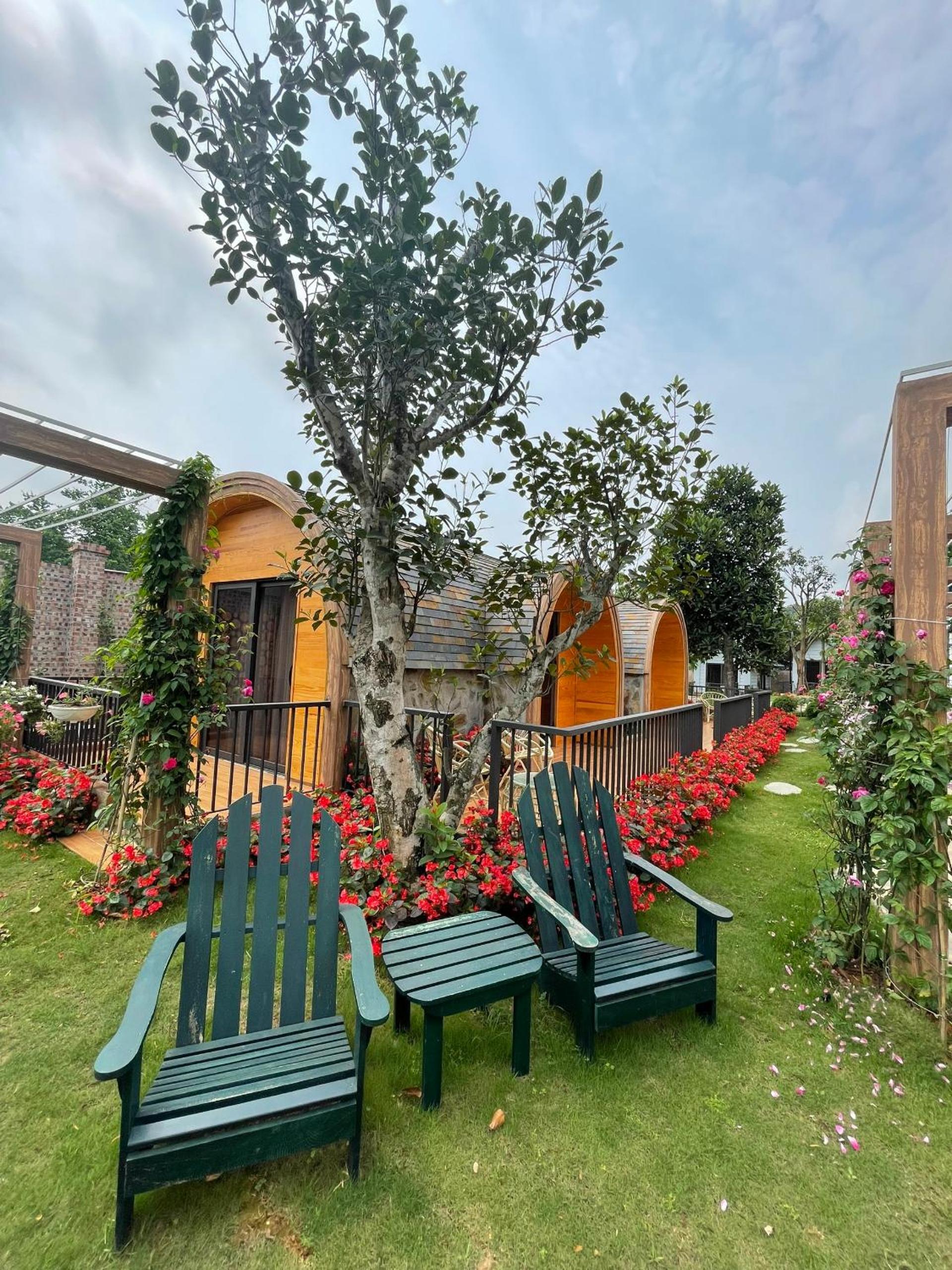 Phong Sơn Villa - Venuestay