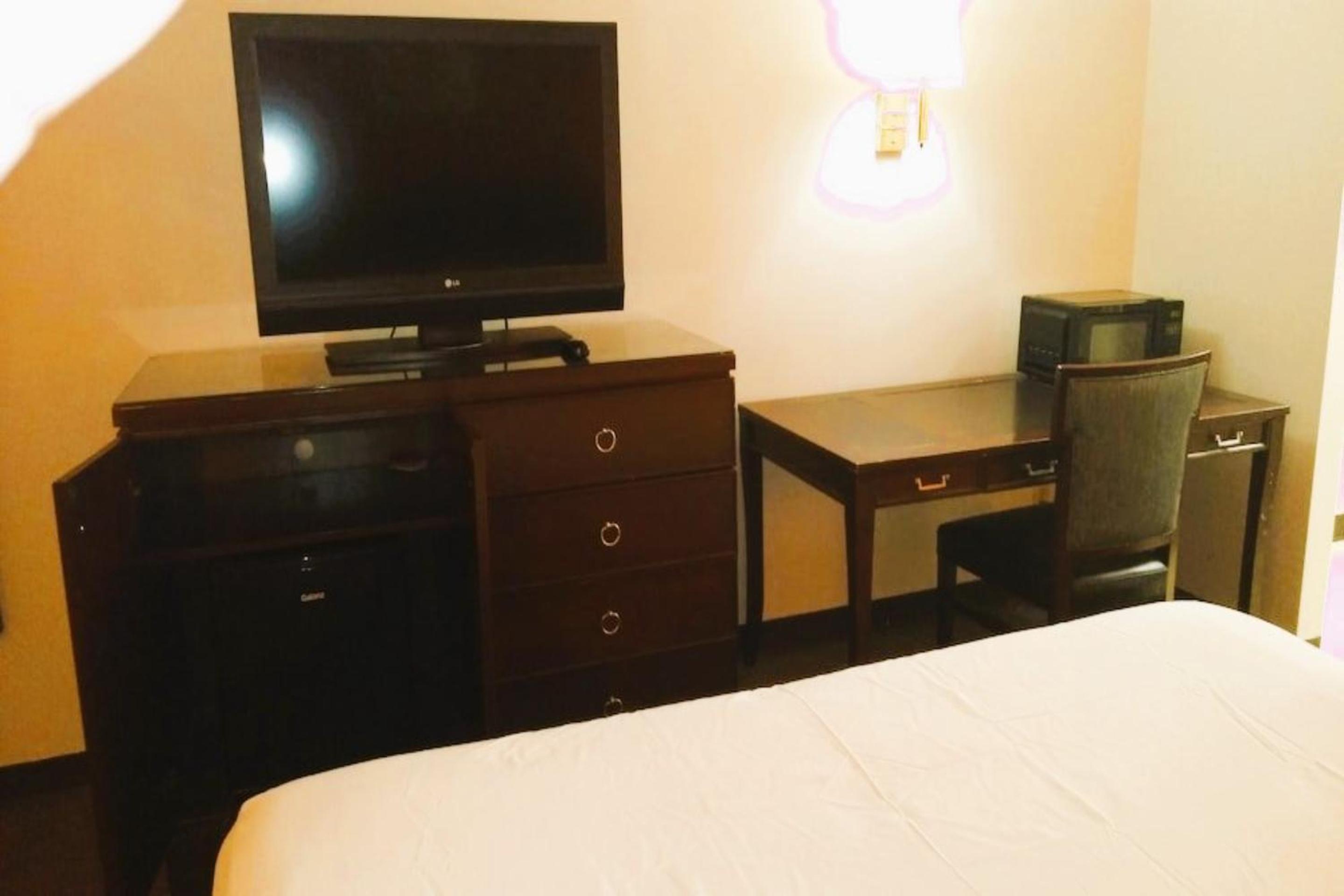 OYO Hotel McIntyre GA, US 441 view 2