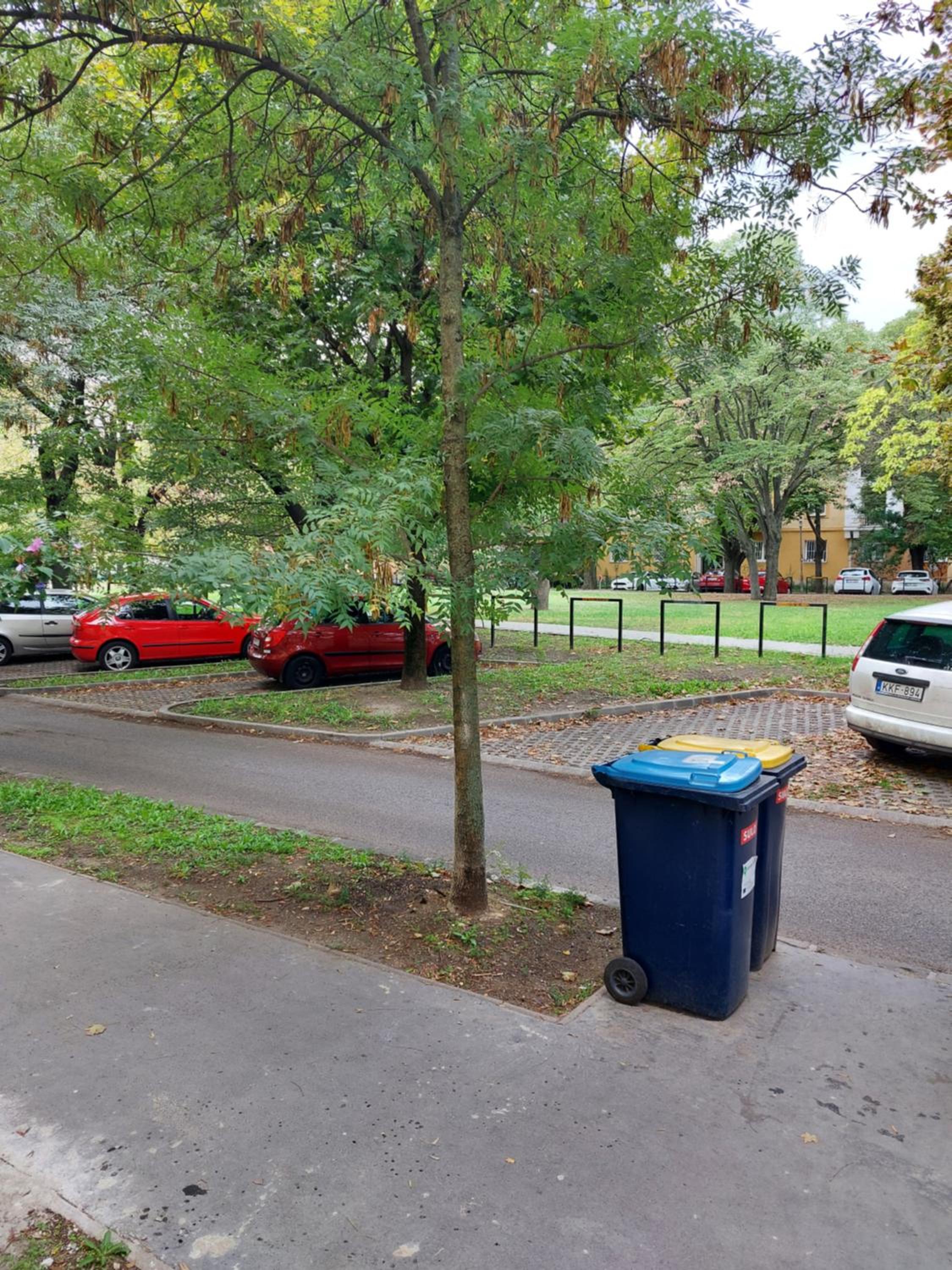 Family Friendly Apartman view 4