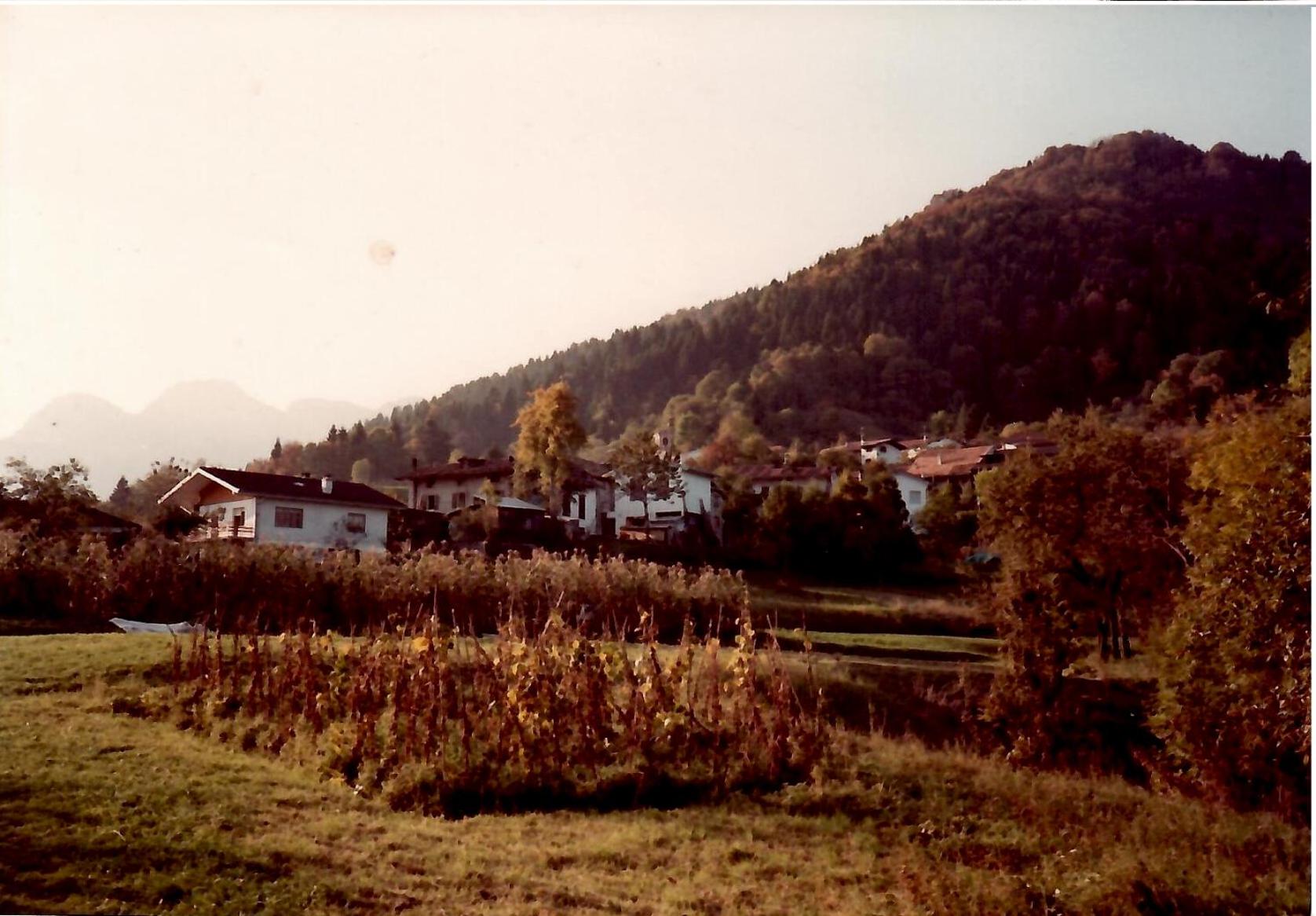 Casa Vacanze IL BEARČ