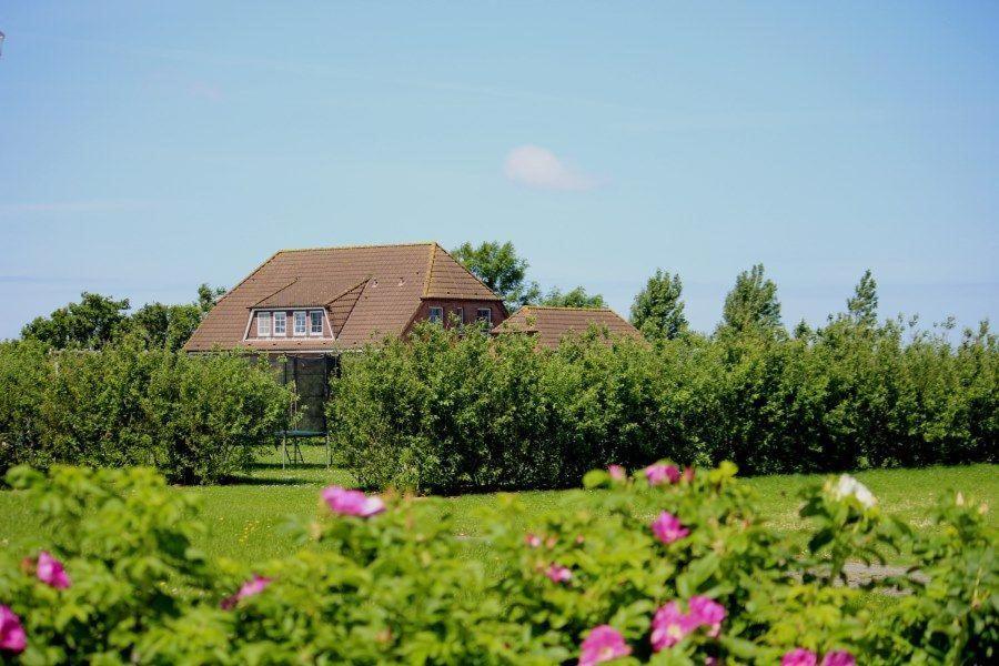 Hus-Pellworm-3-Ferienwohnung-Meeresbrise