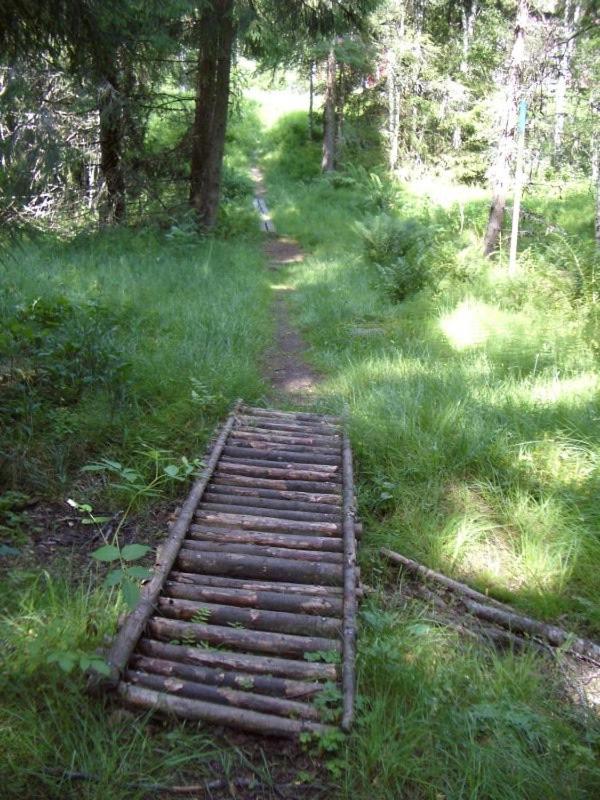 Photo 52