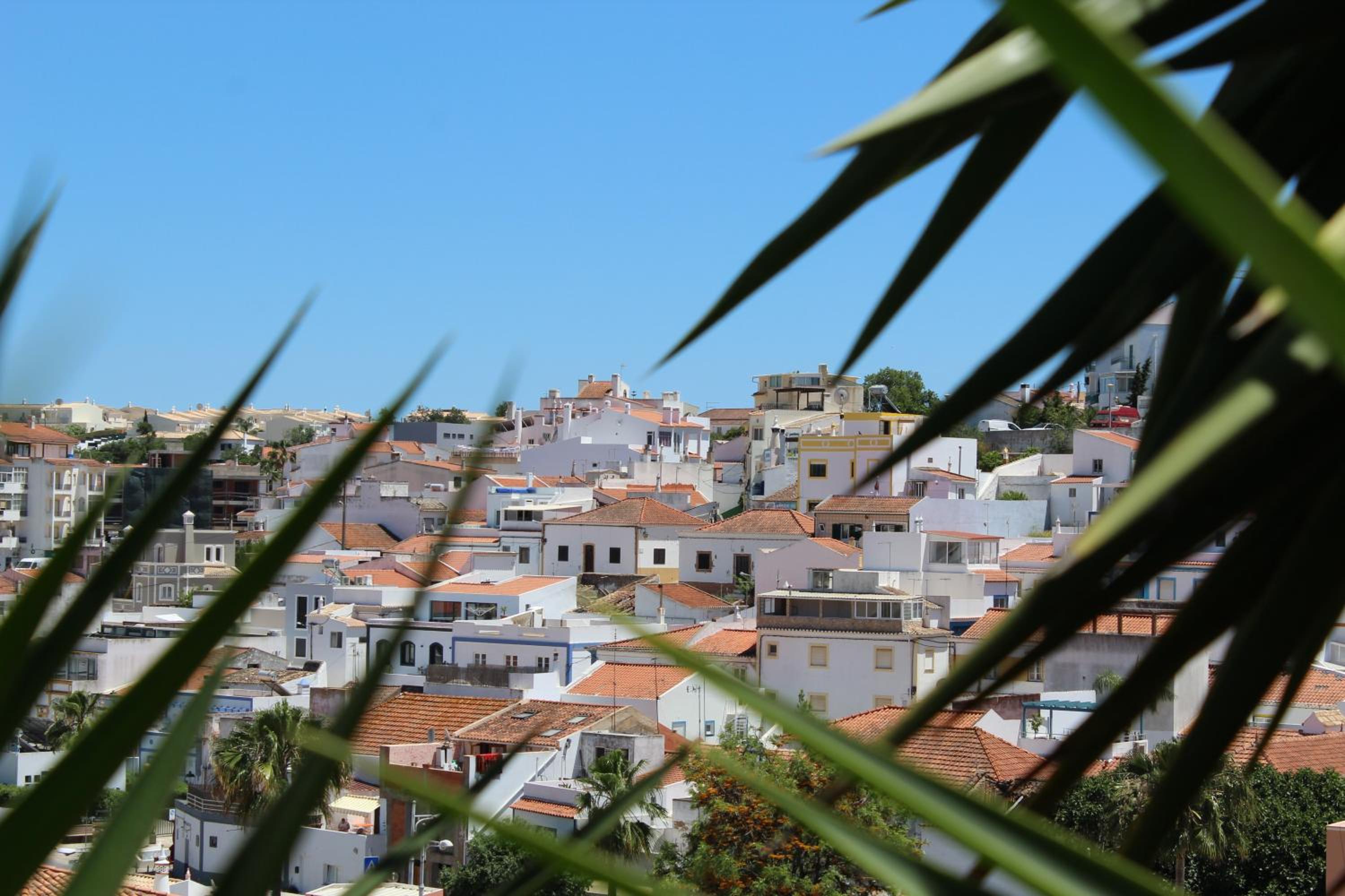 Casa Kiki view 5
