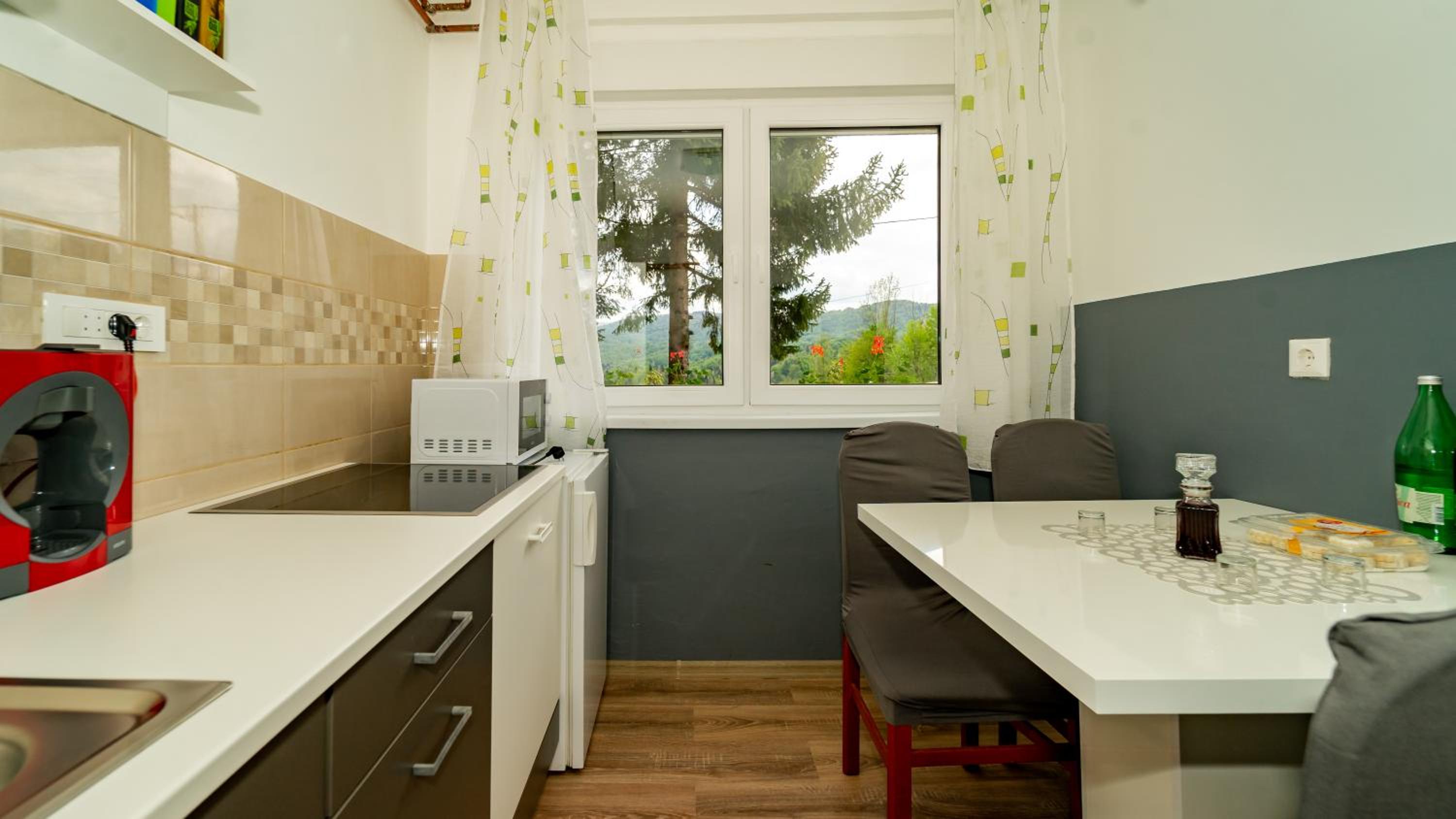 APARTMAN GRADINA