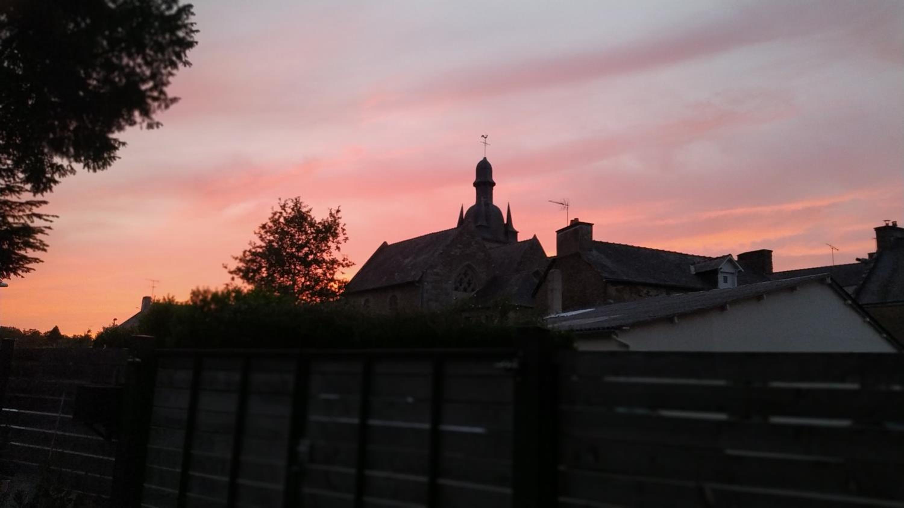 Photo 53