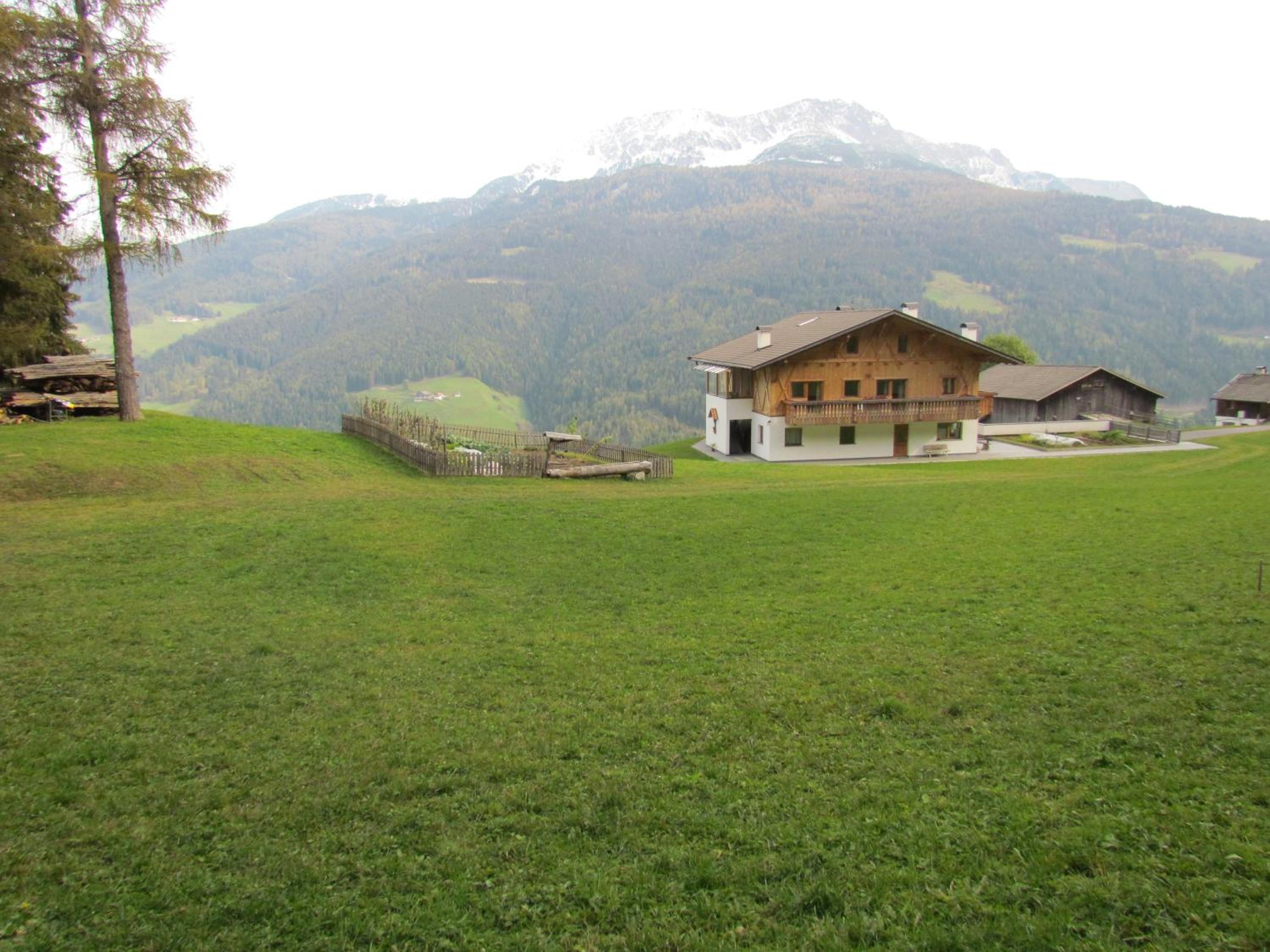 Photo 31