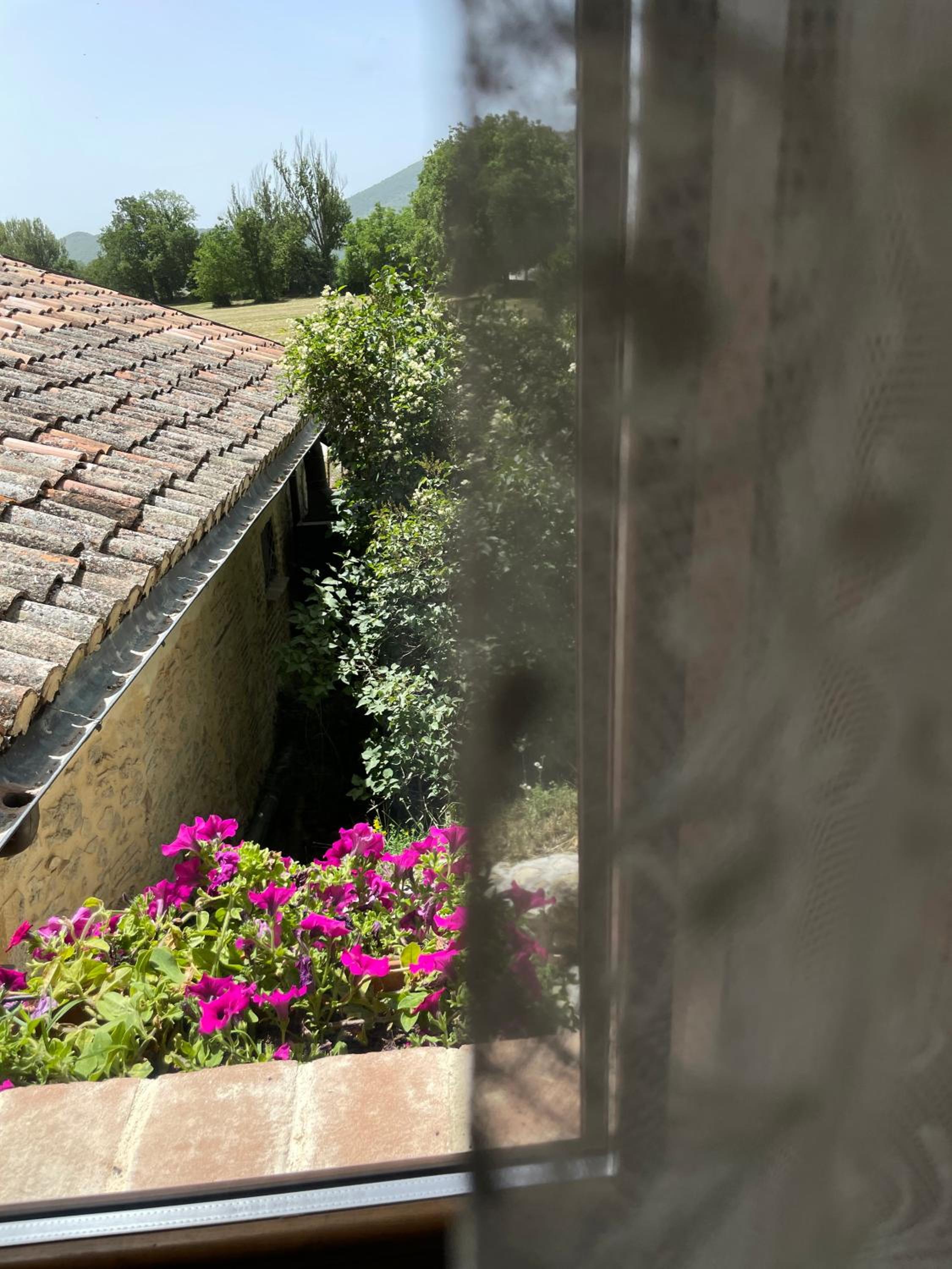 Le Farine Del Maestro view 4