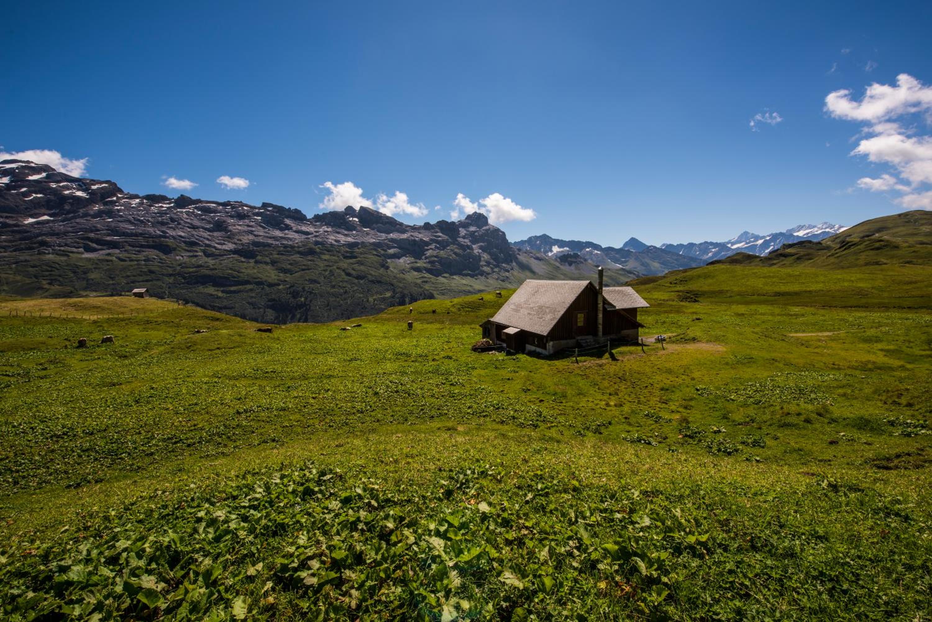 Berggasthaus Tannalp