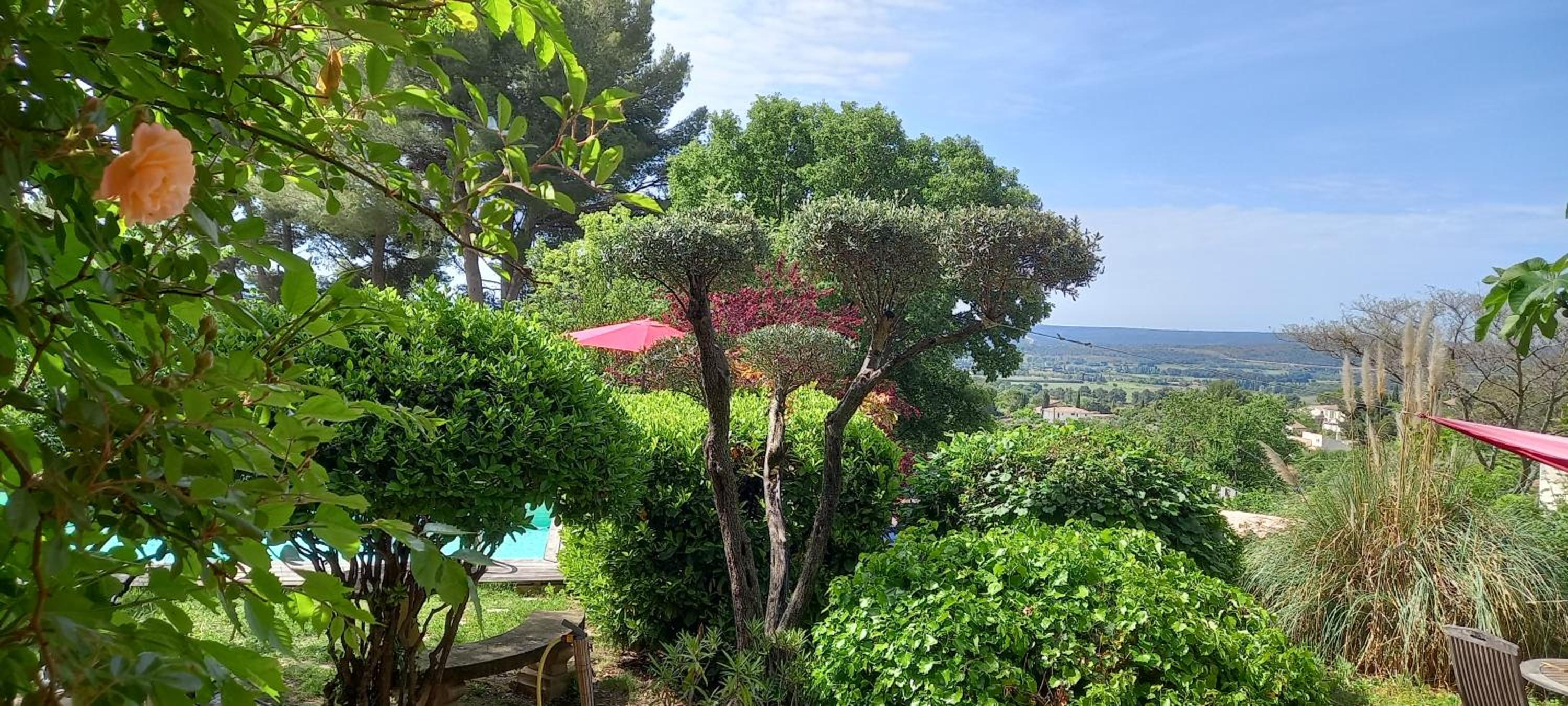 Le jardin de Sabine, photo 6
