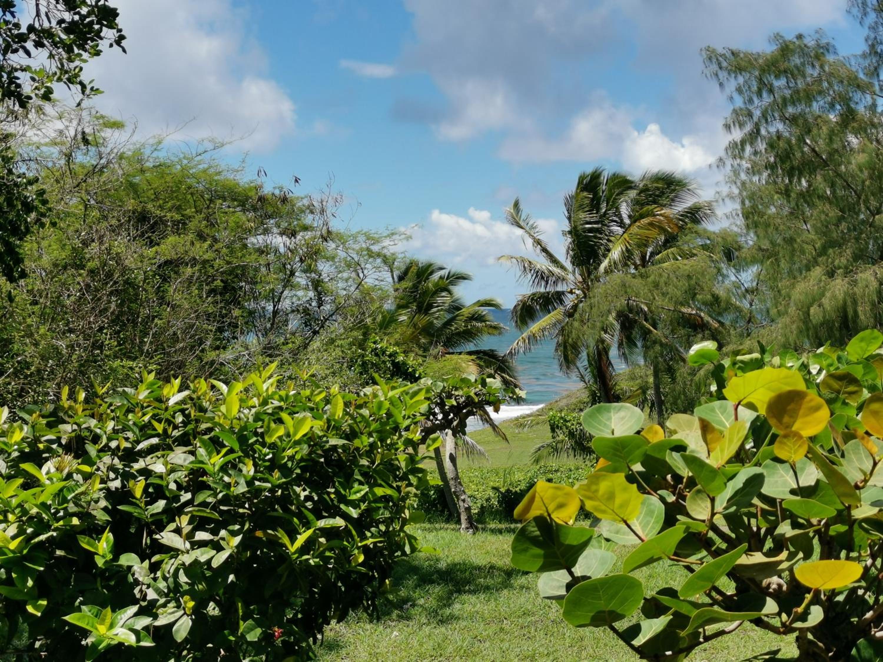 Studio Coco Zen view 2