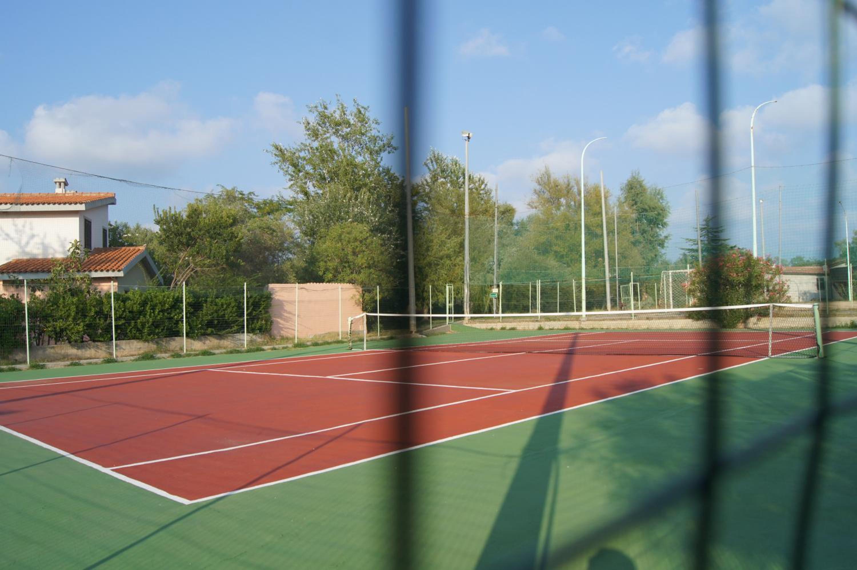 Photo 41