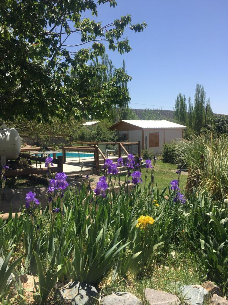 Cabañas del Mesón