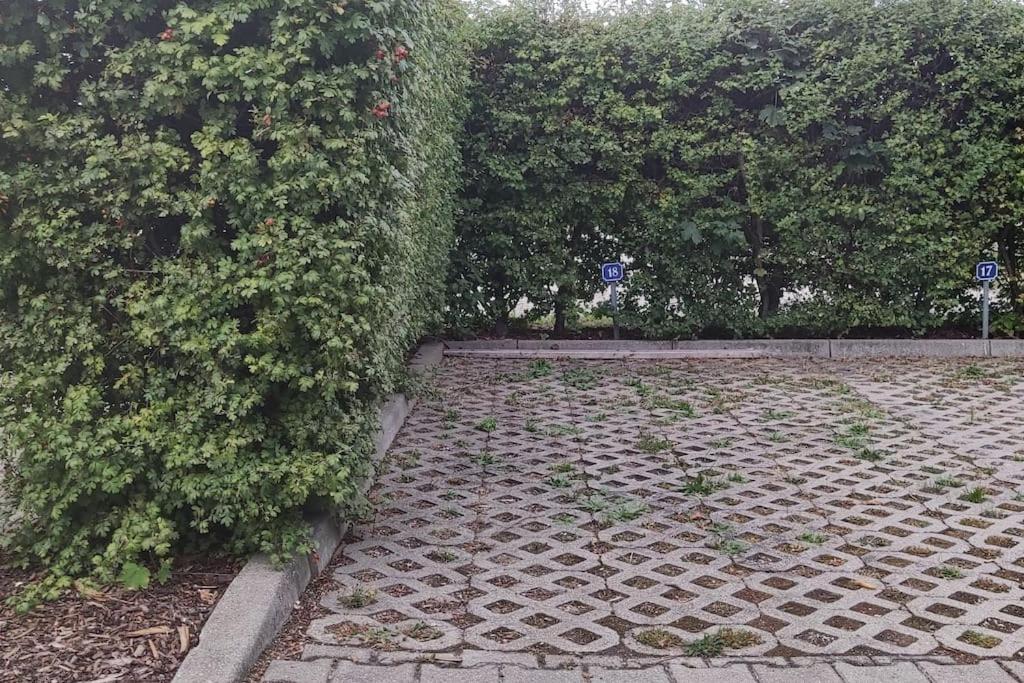 Photo 36
