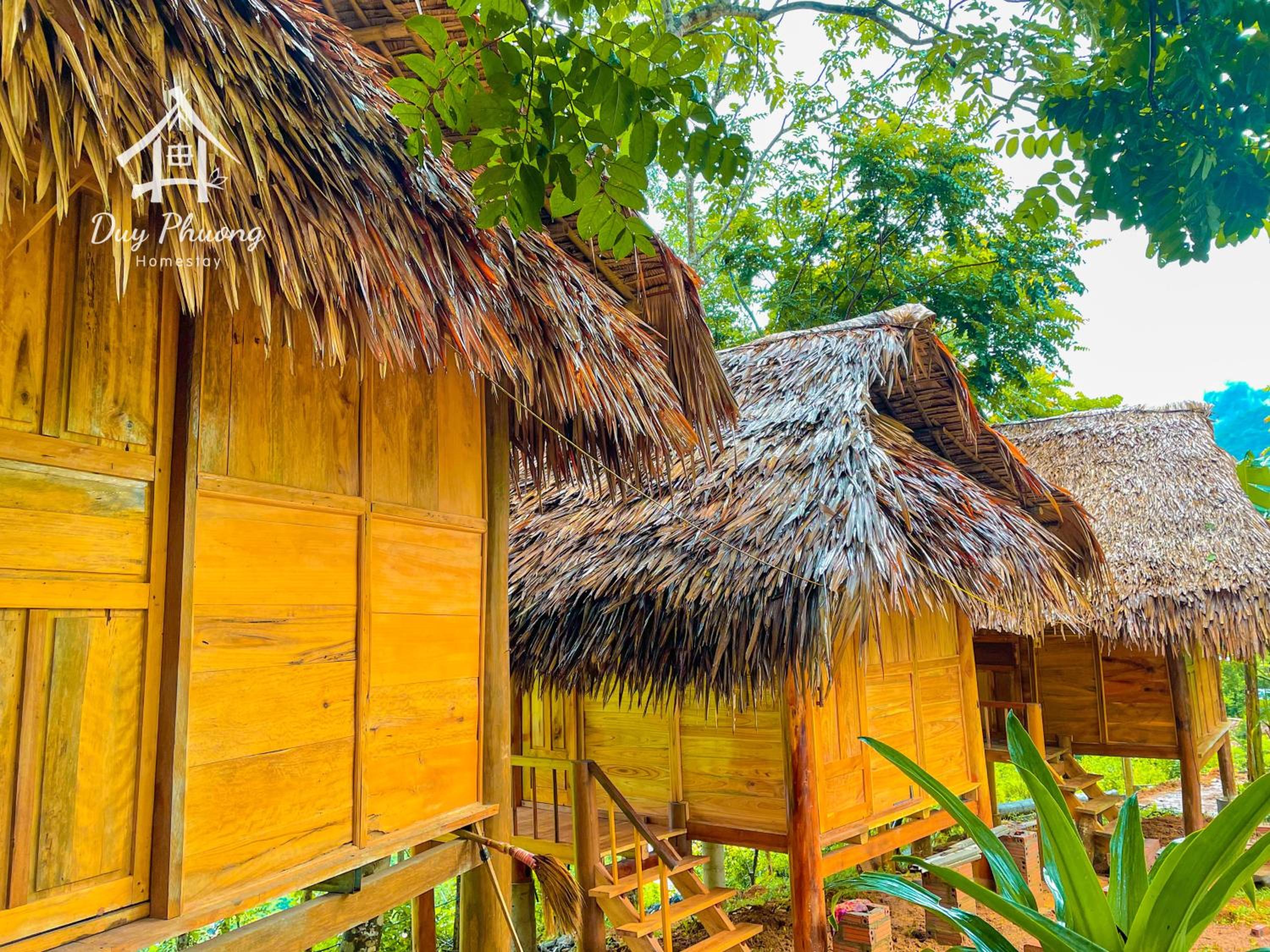 Pu Luong - Duy Phuong Homestay