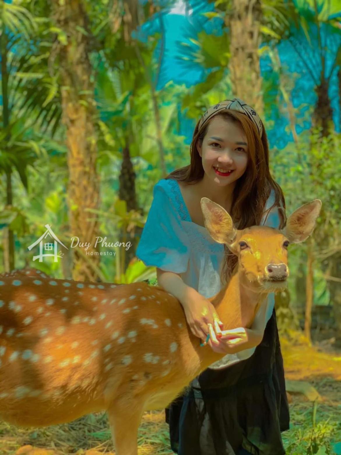 Pu Luong - Duy Phuong Homestay