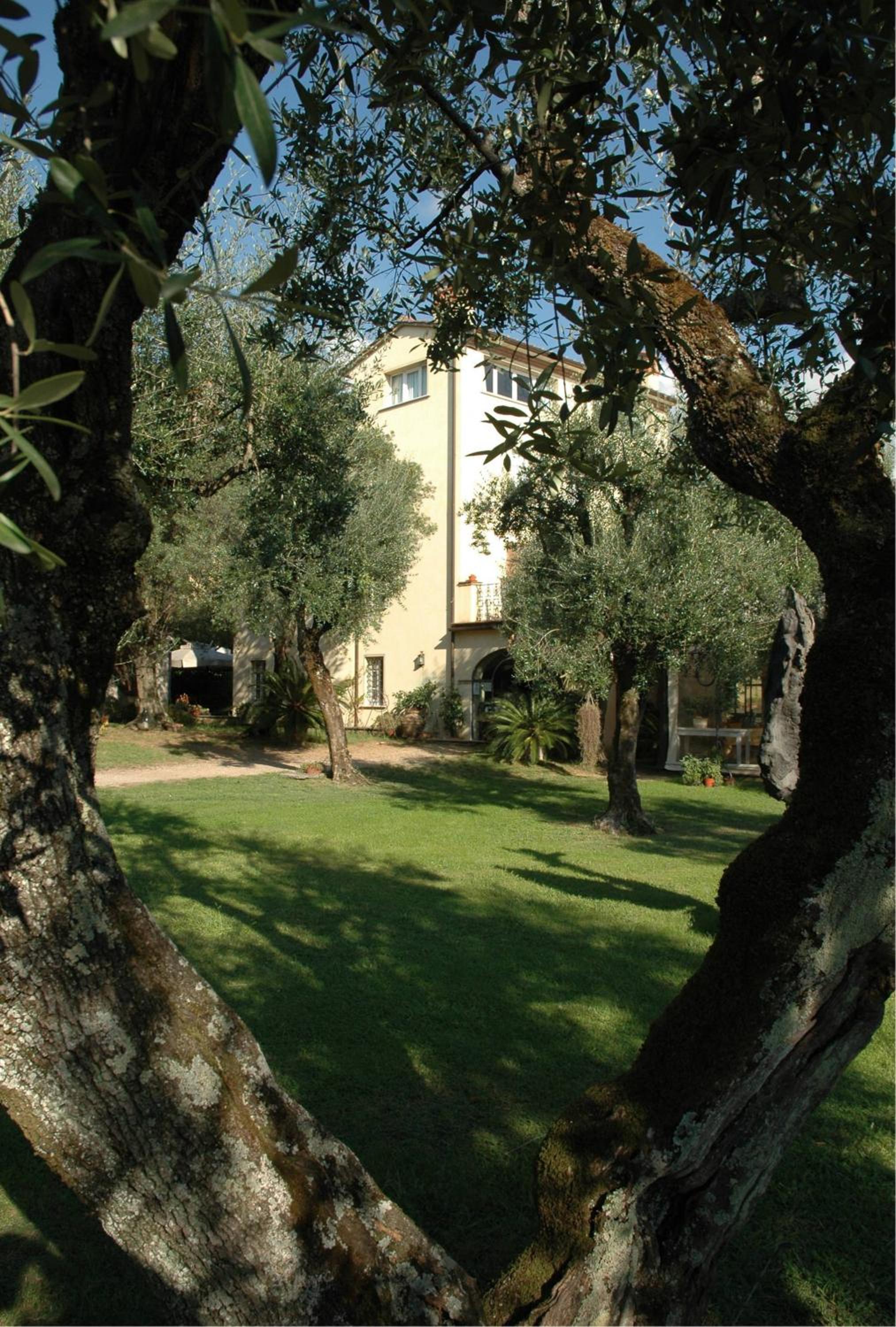 Antico Uliveto