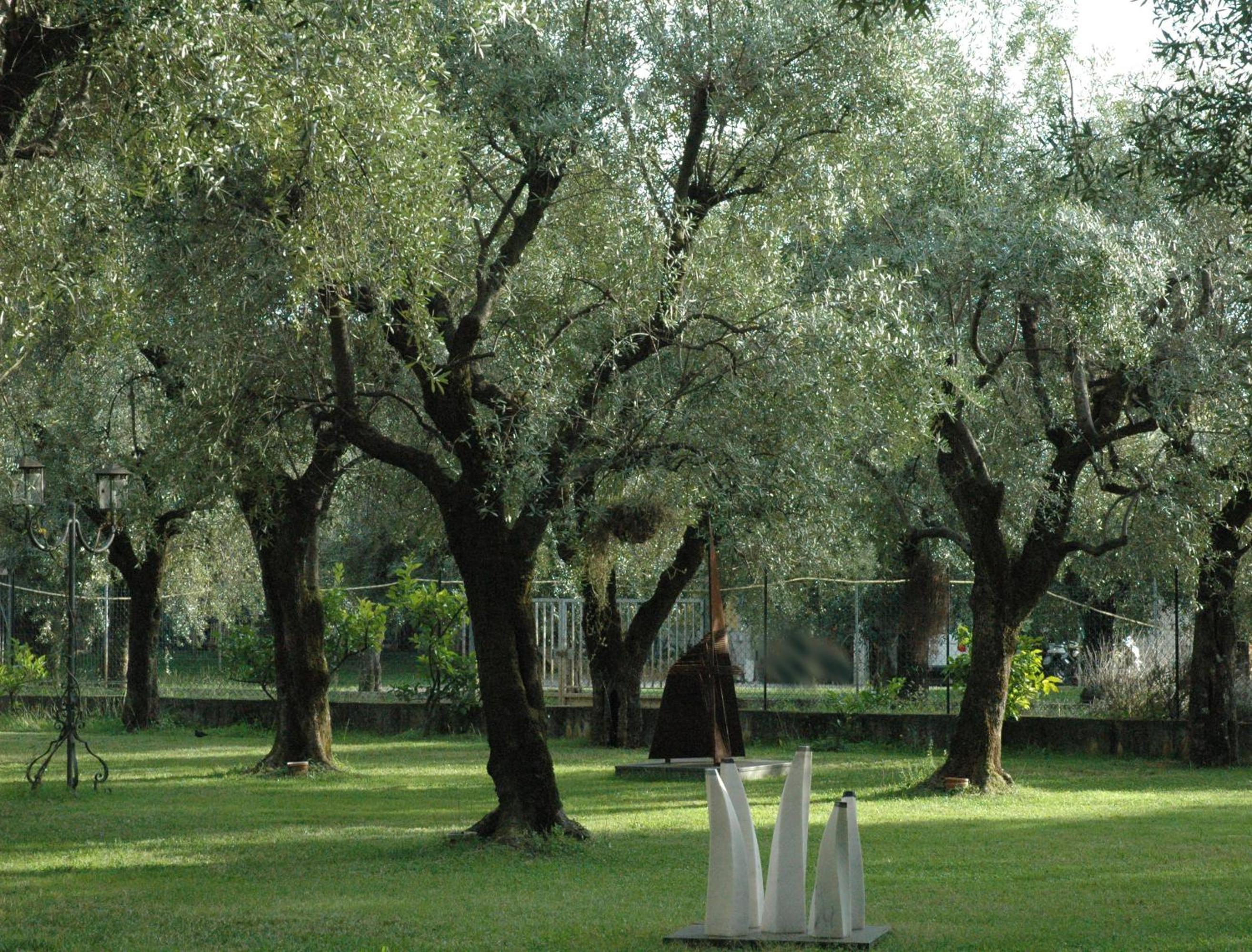 Antico Uliveto