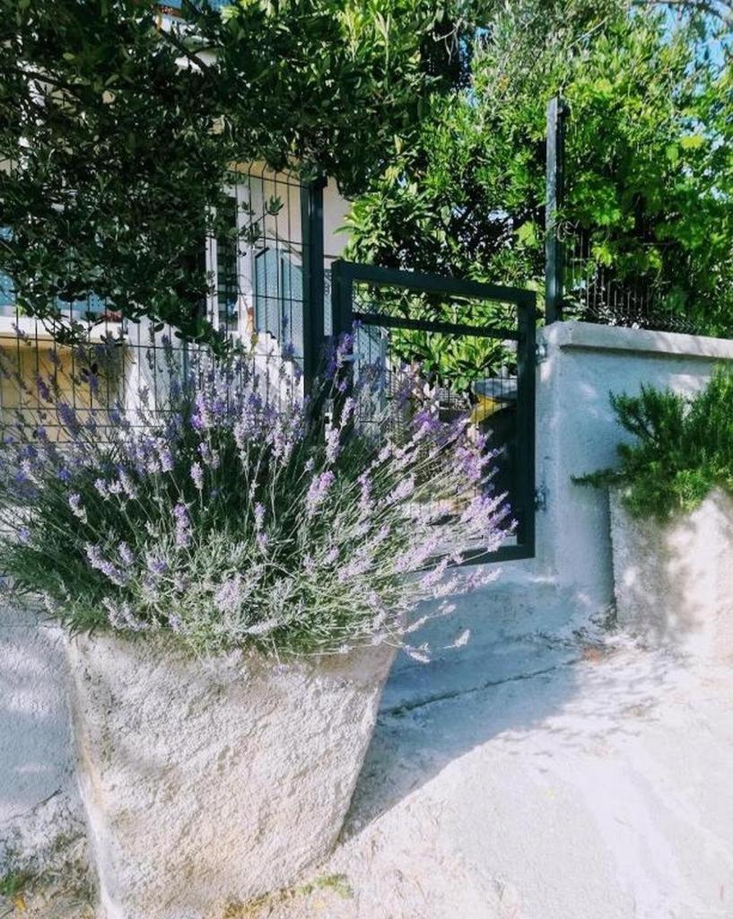 Apartments with parking space Pakostane, Biograd - 18979 view 4