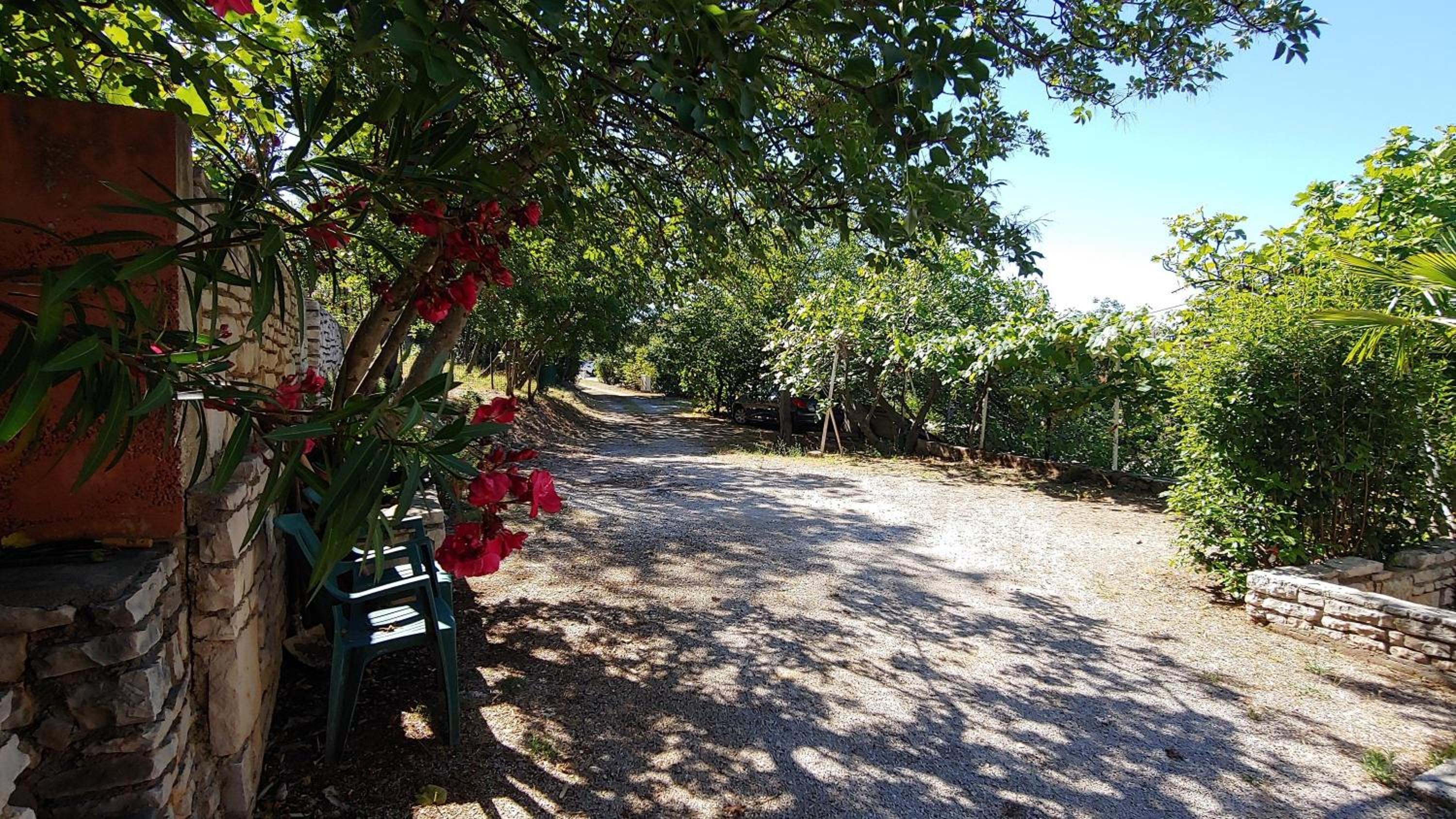 Photo 27