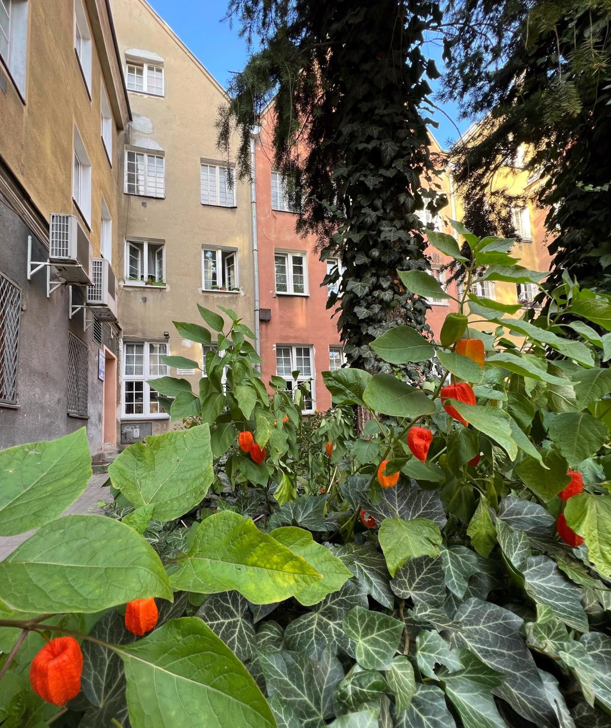 Photo 43