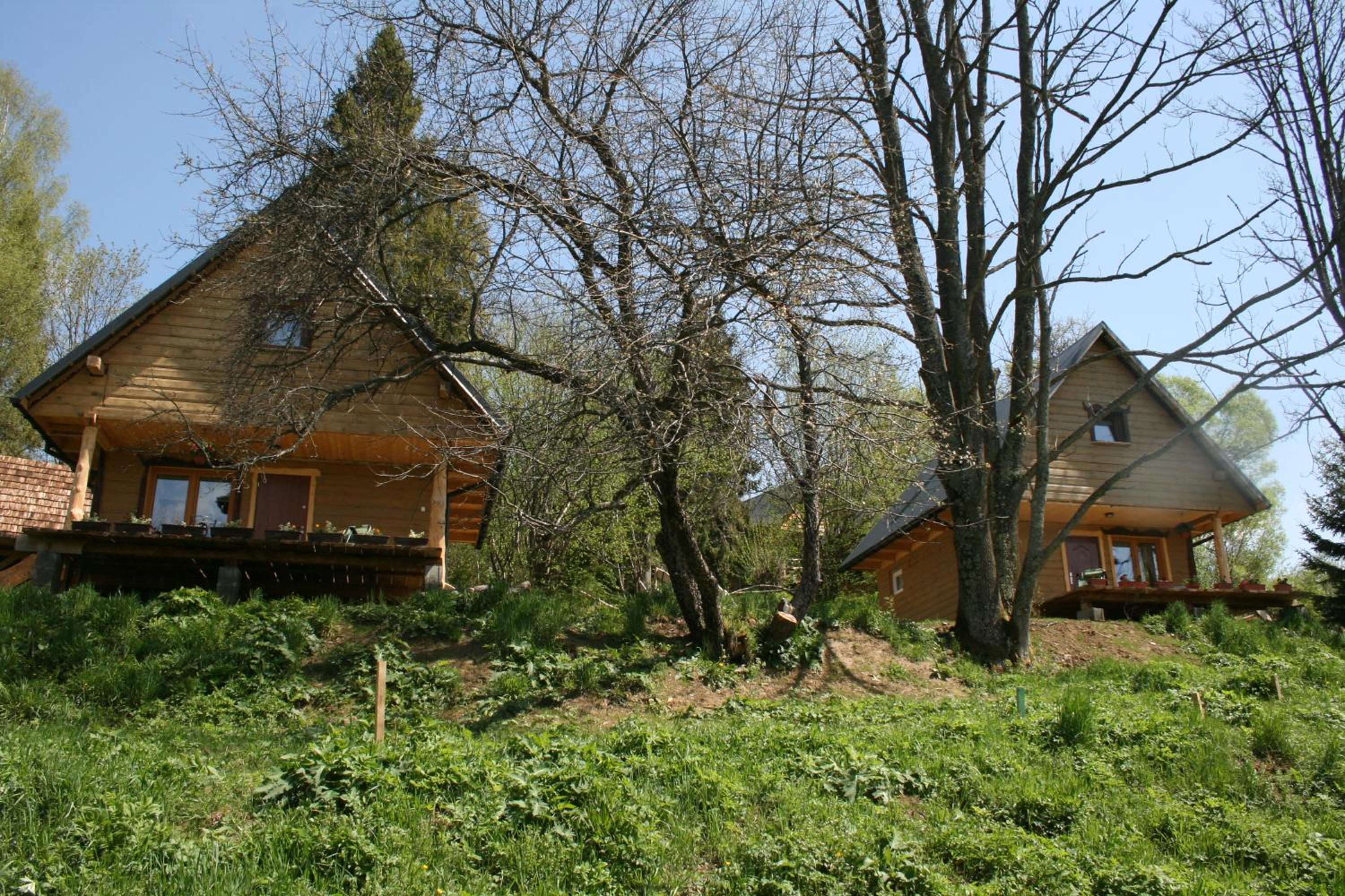 LESZCZYNOWY STOK view 5
