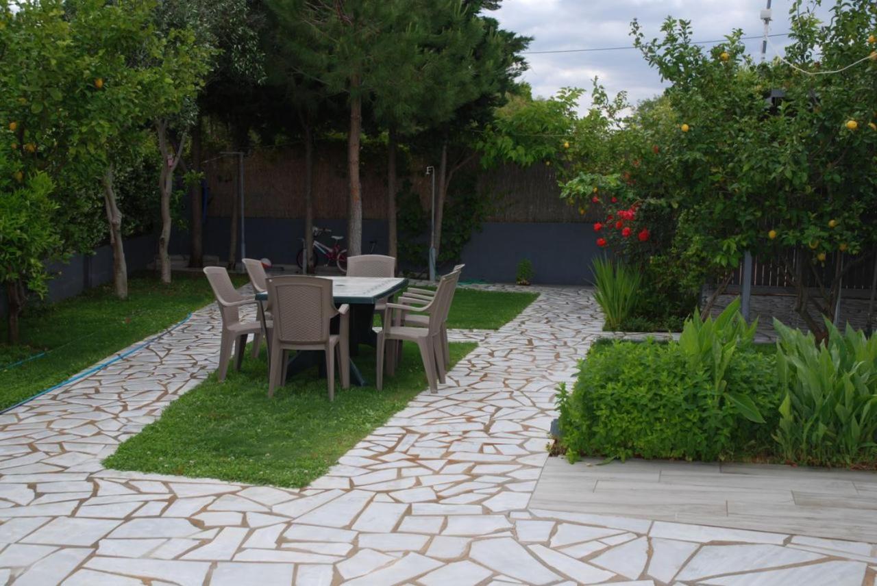 Photo 22
