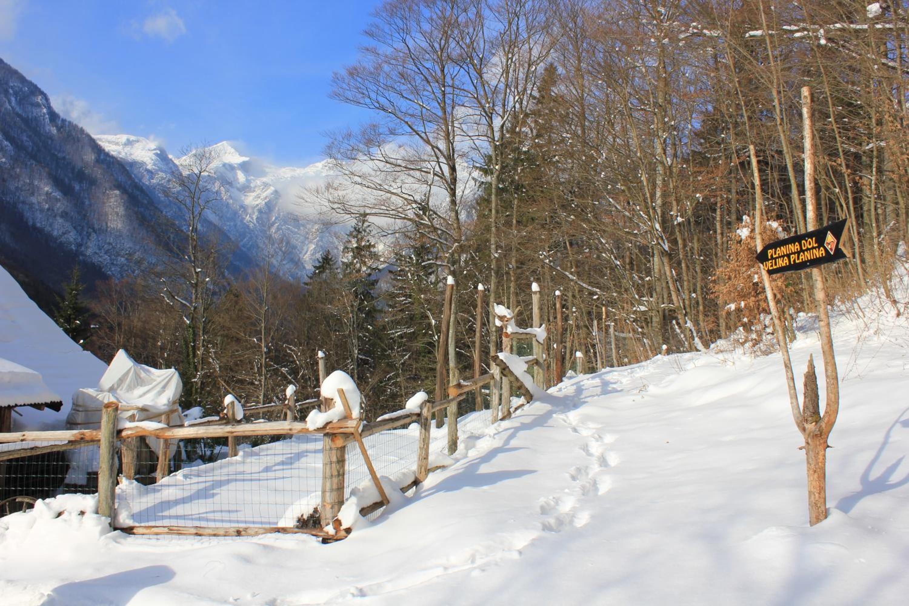 Guest House Kraljev Hrib view 3