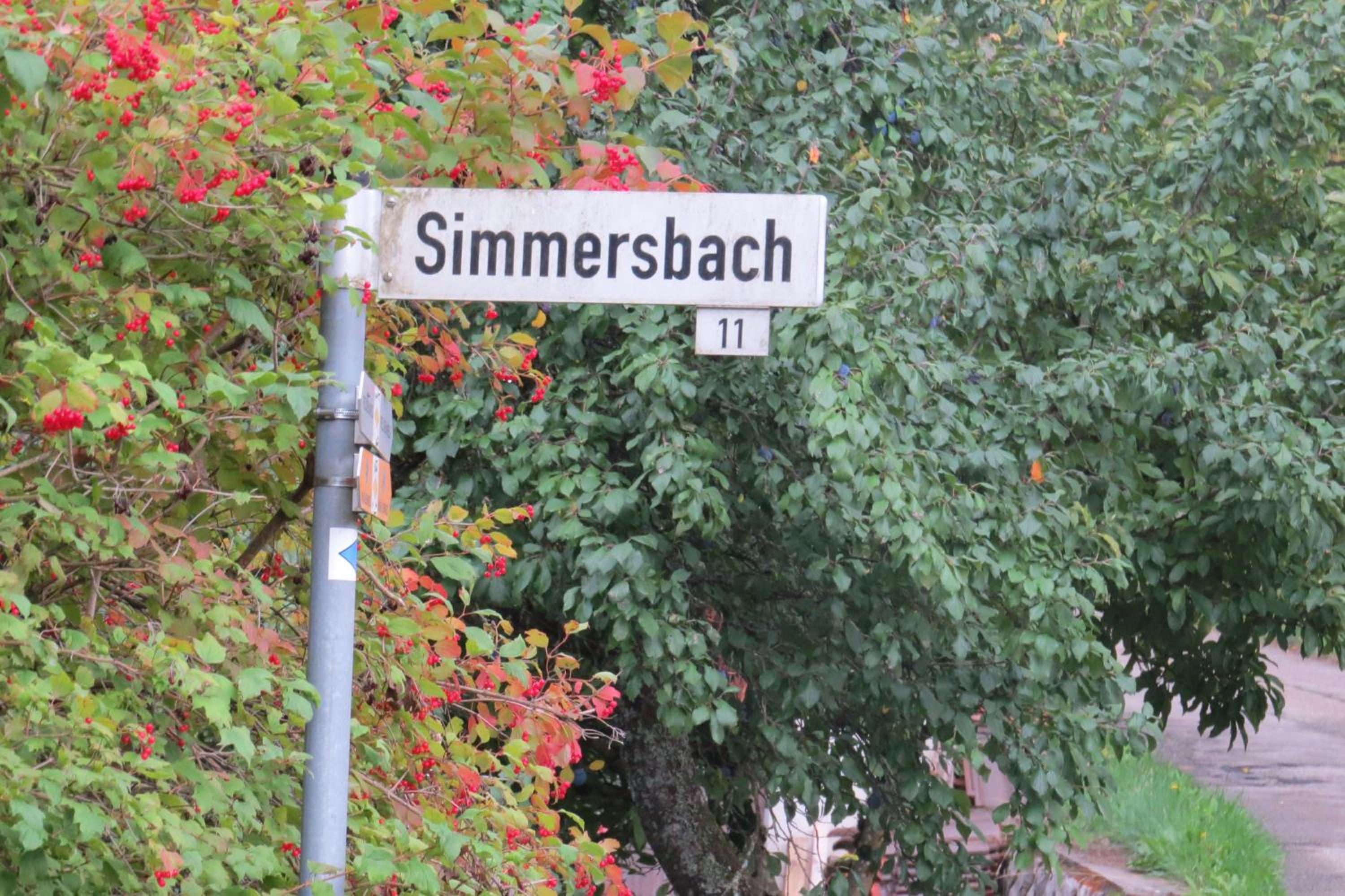 Einzigartiges Apartment, mitten in der Natur