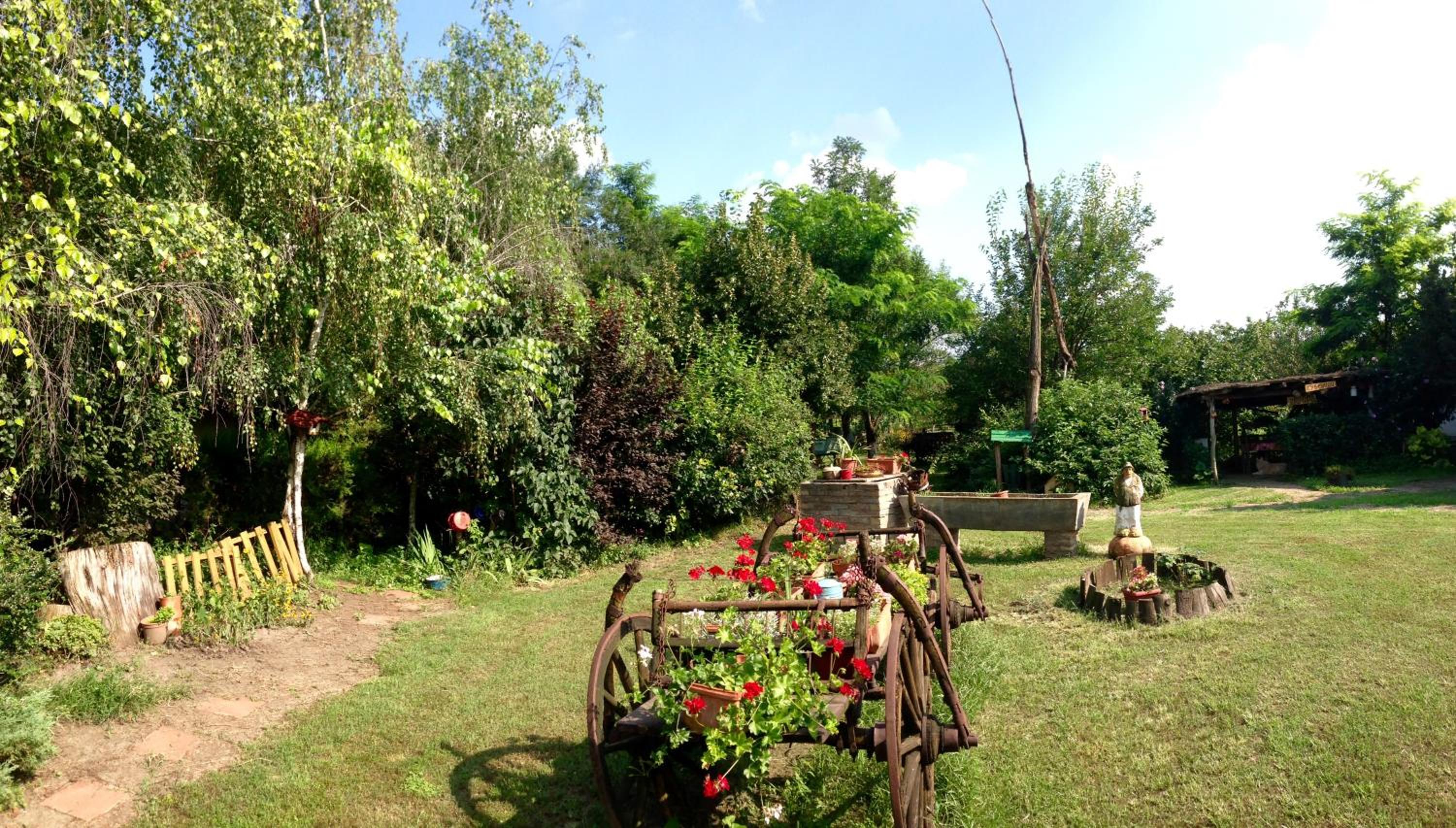 Photo 31
