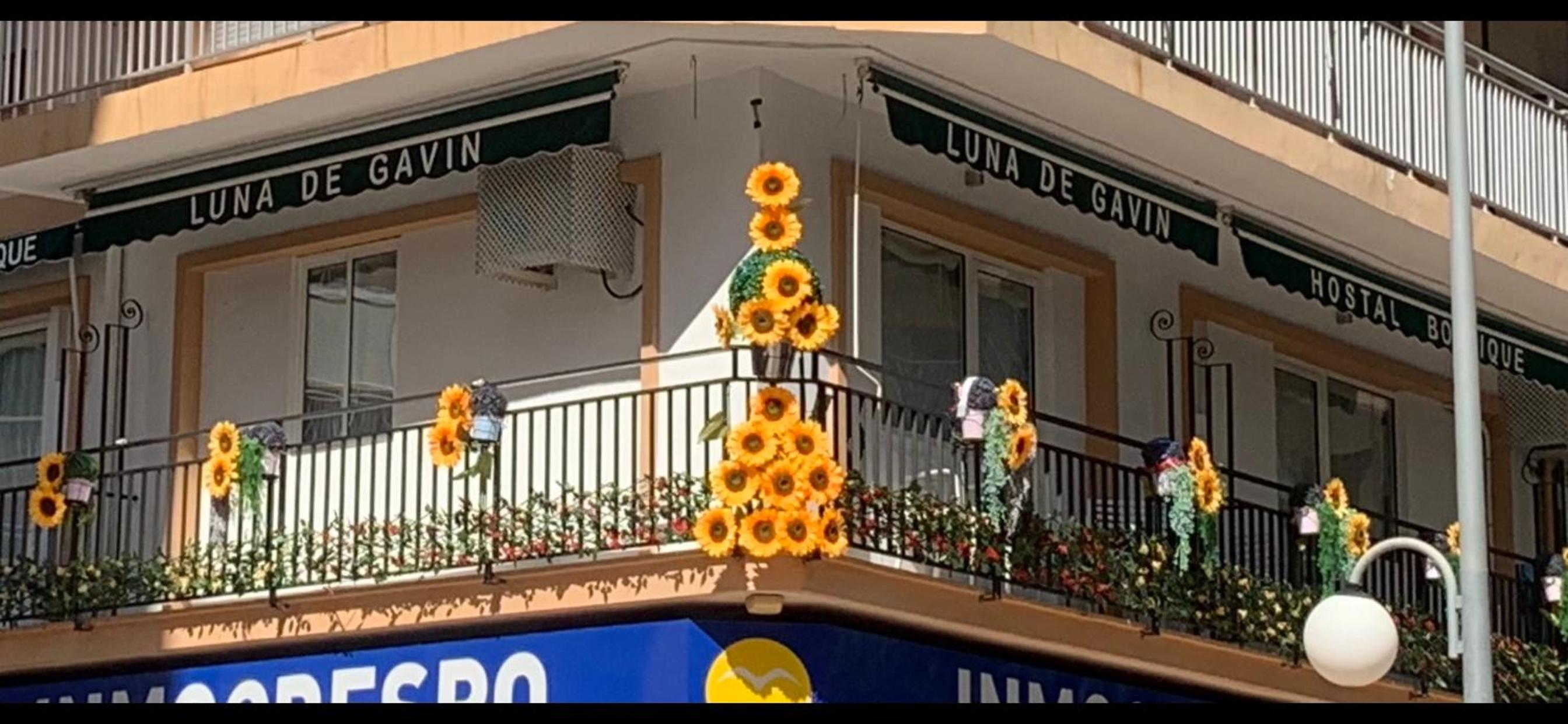 Hostal Boutique Luna de Gavín photo 2