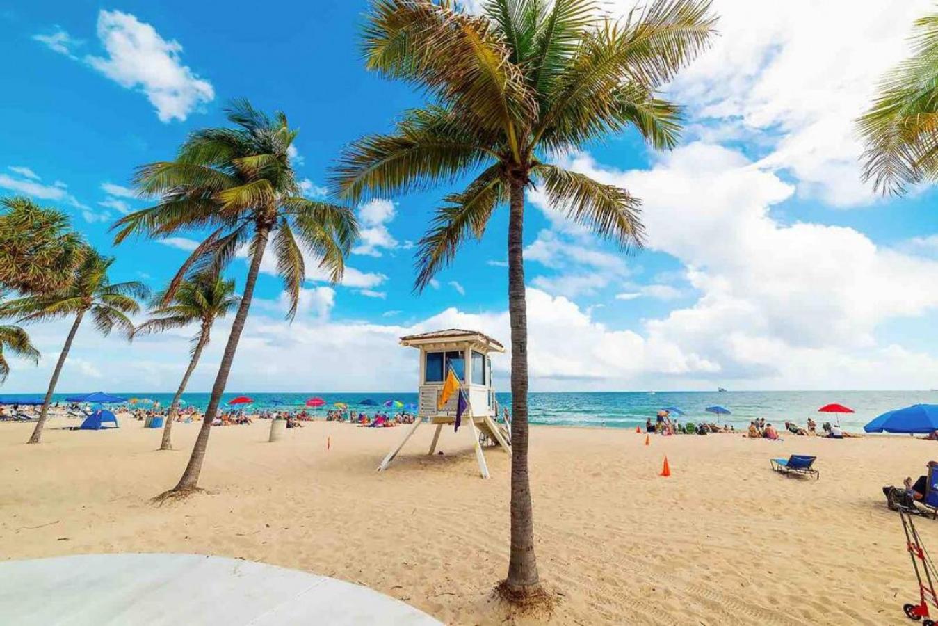 Pretty Rola 302 Cozy Condo with King Bed Great Location view 4