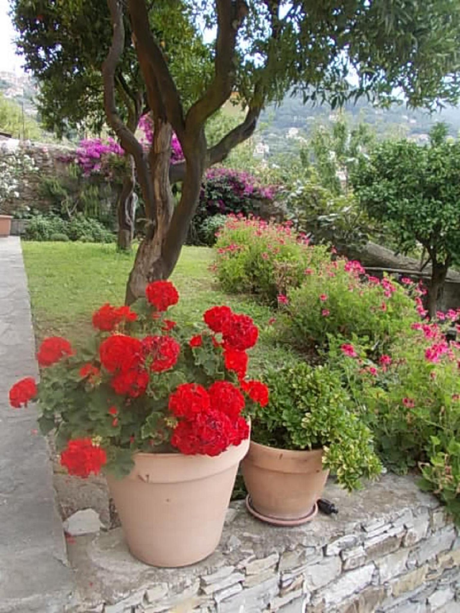 Le Clementine B&B photo 3