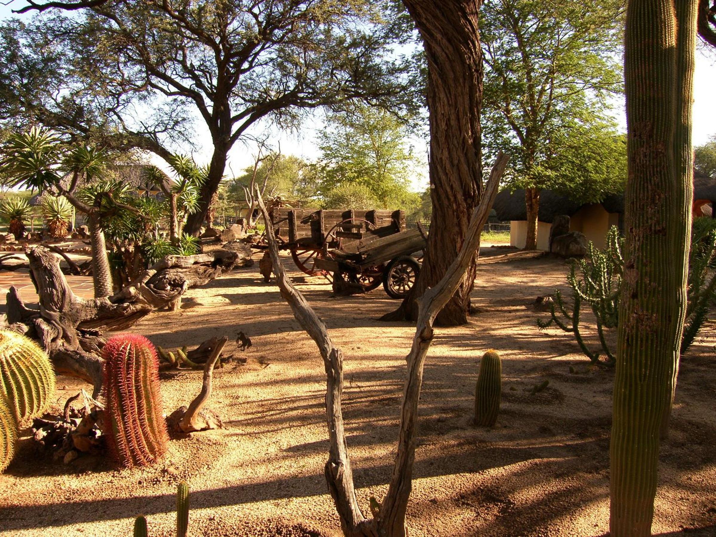 Roidina Safari Lodge