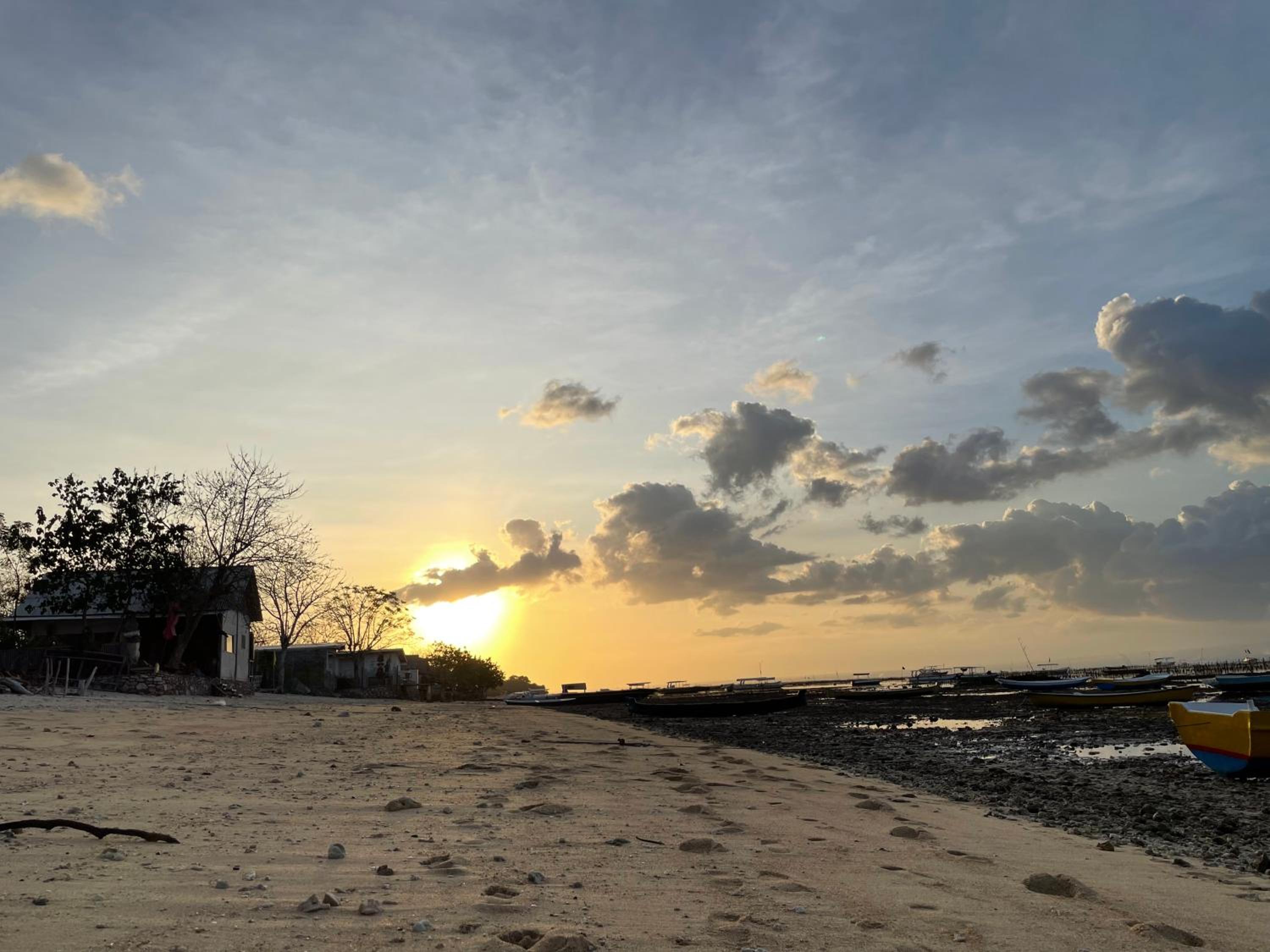 Mangrove Beach Hut