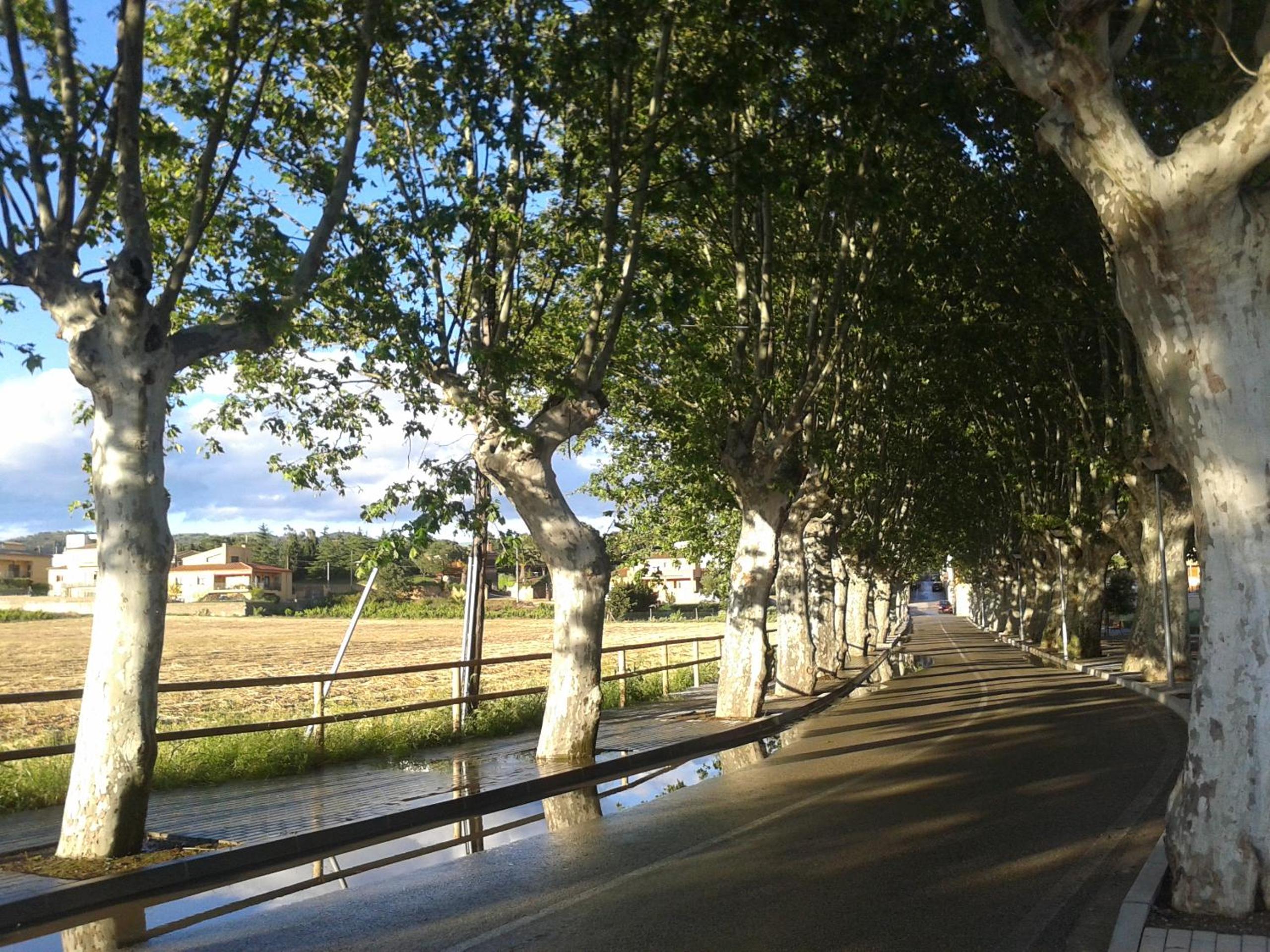 Photo 43