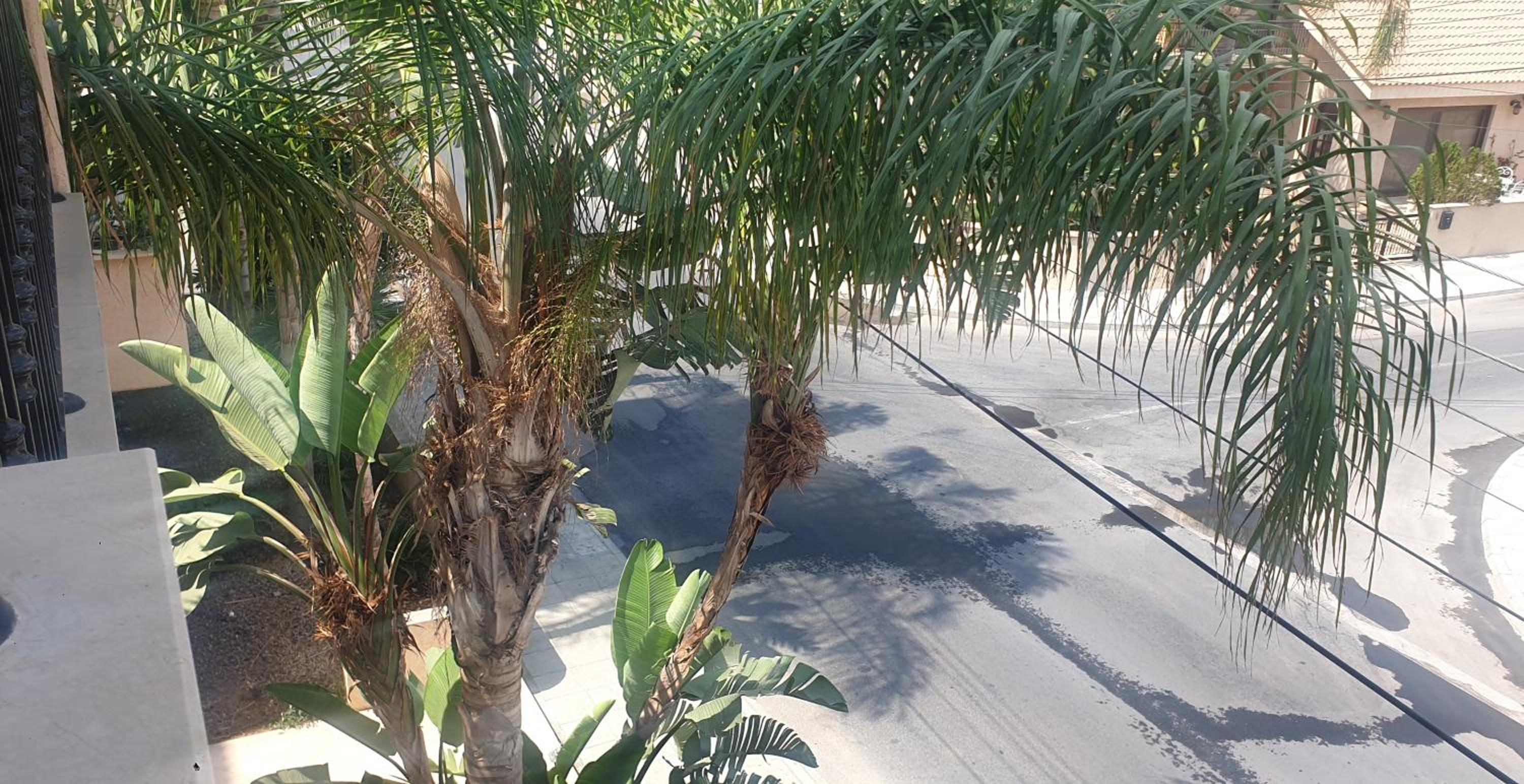 other