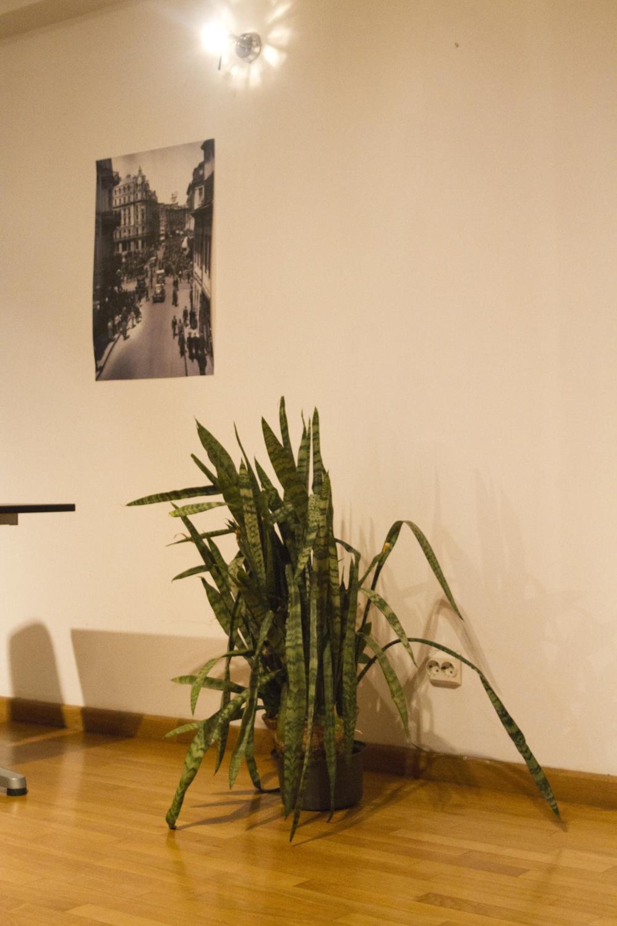 Photo 29