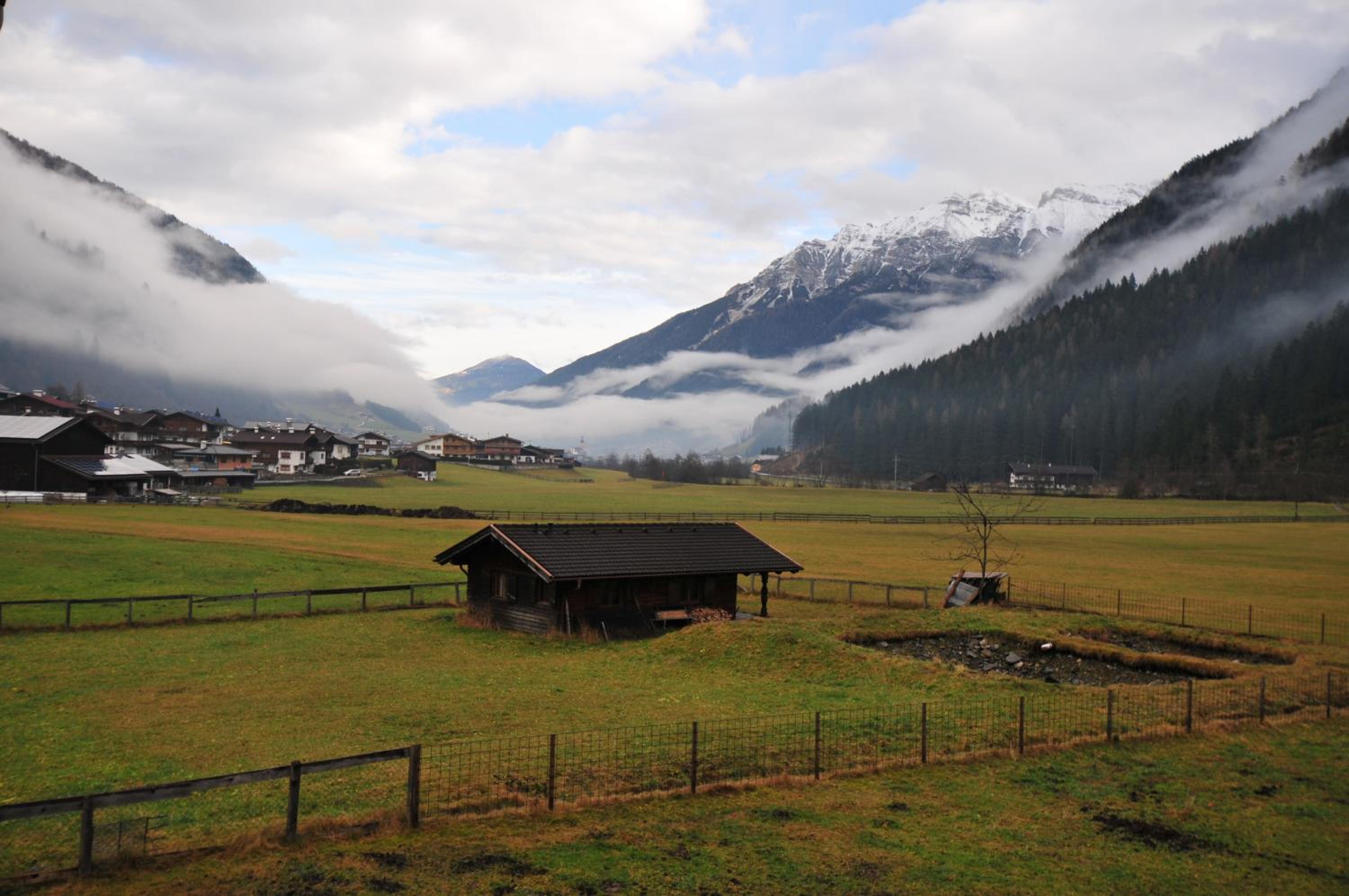 Photo 40