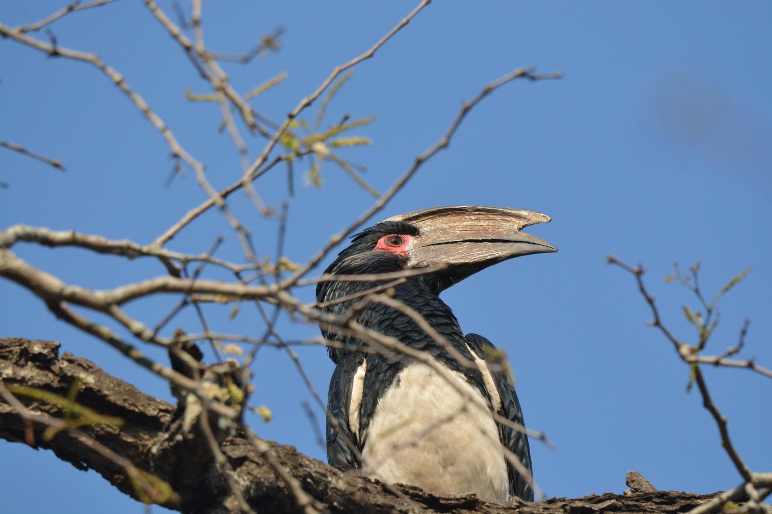 Photo 45